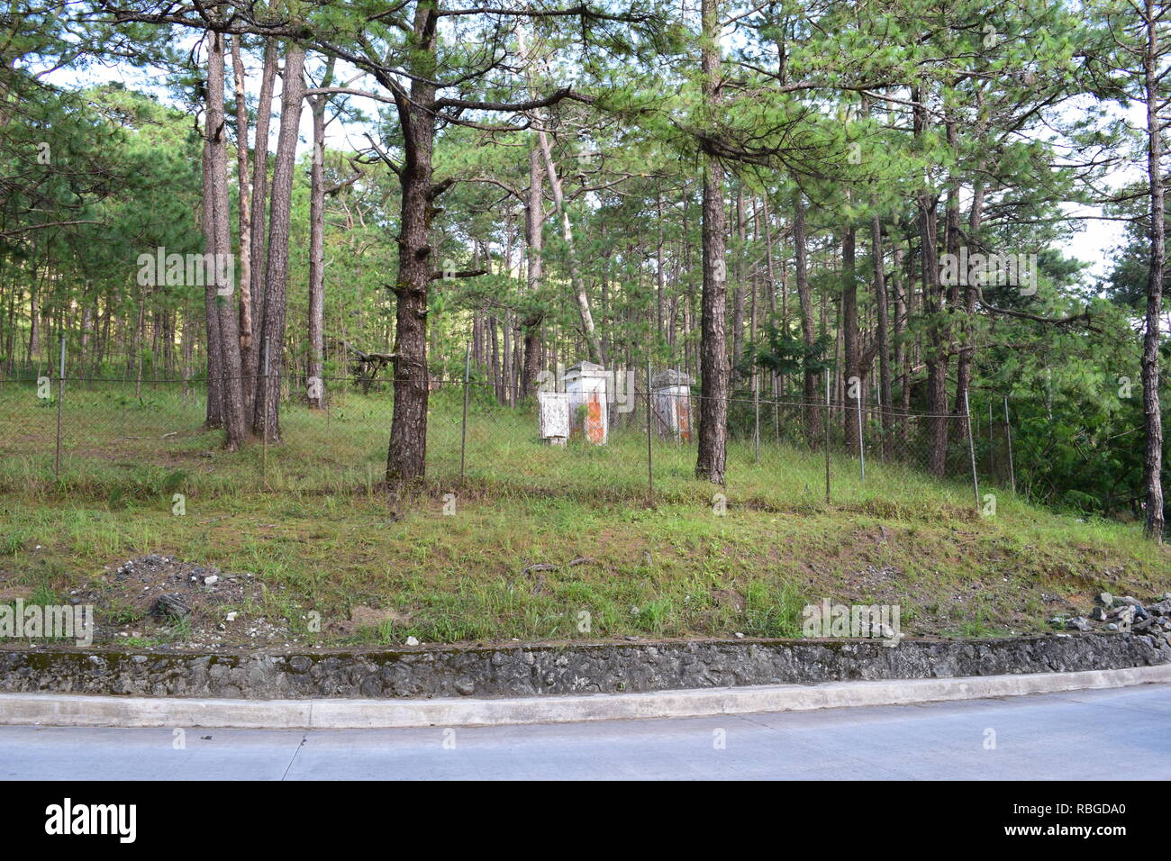 The 1st. Phil-Am, Veterans Cemetery is the final resting place for military and civilian victims of foreign wars and lay embedded in the Camp John Hay Stock Photo