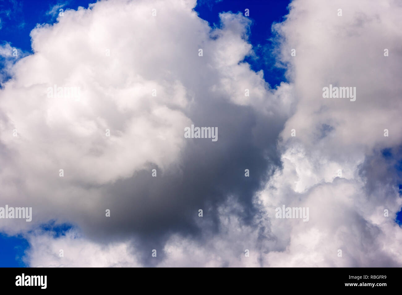 lush white cumulus clouds swim across the blue sky on a bright sunny ...