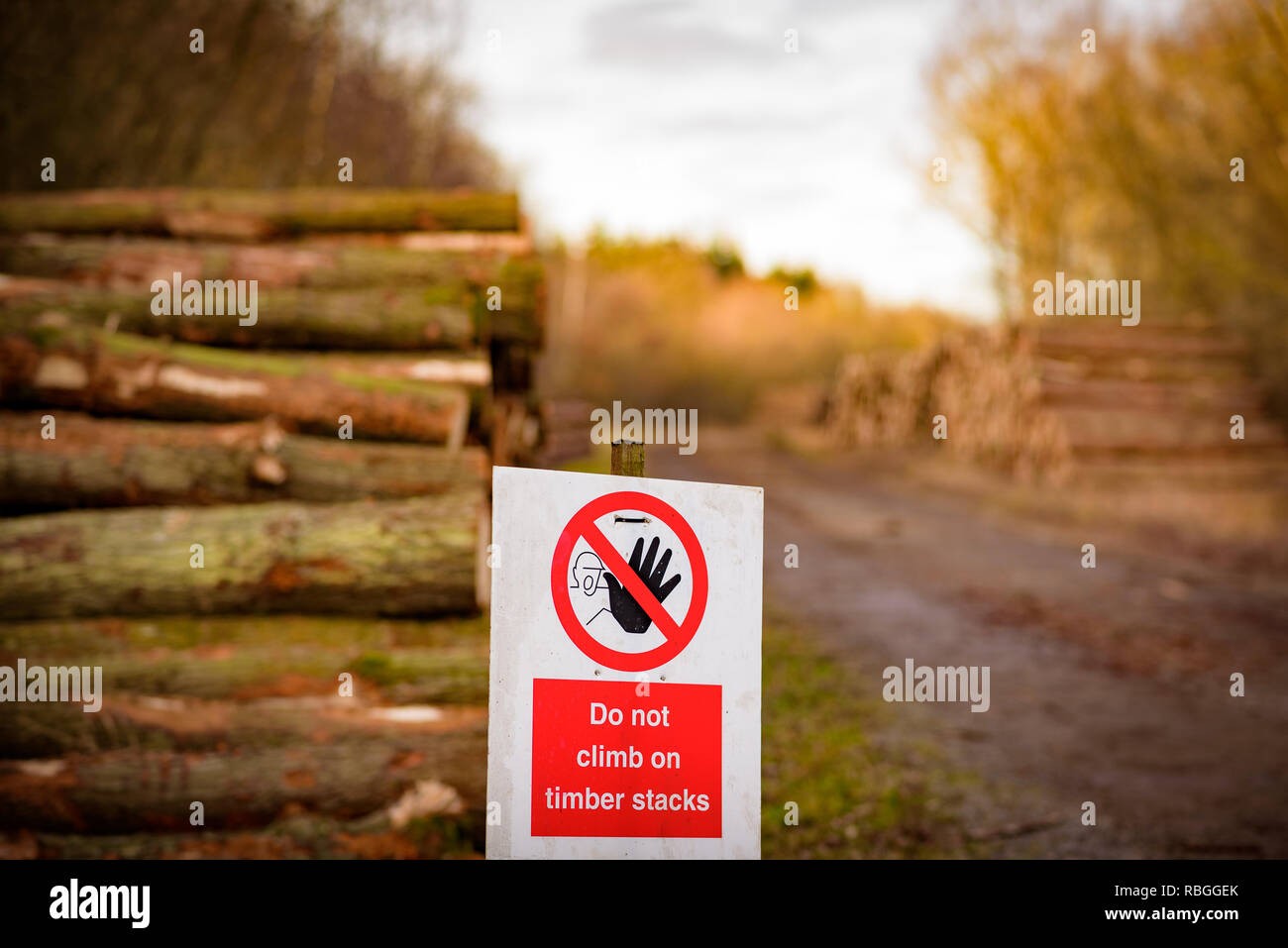 Warning / Danger Sign. Fresh cut and stacked logs / timber. Natural Woodland Environment