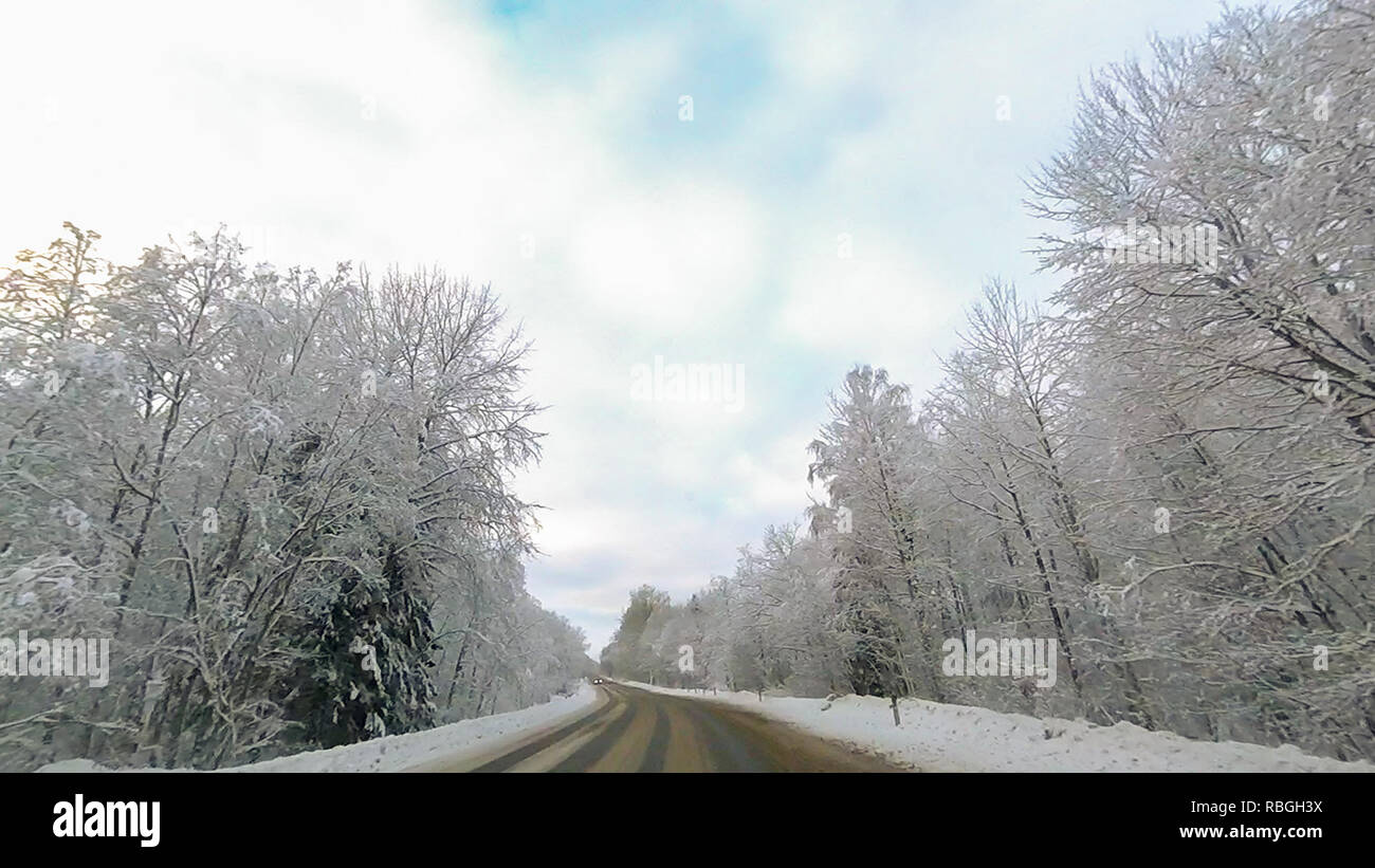 Country road in winter along the forest with white snow trees Stock ...