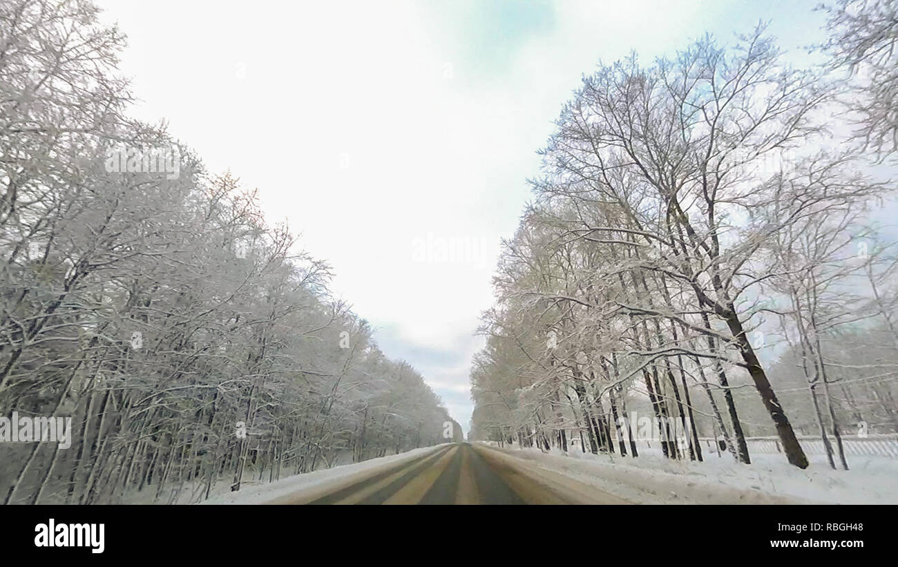Country road in winter along the forest with white snow trees Stock ...