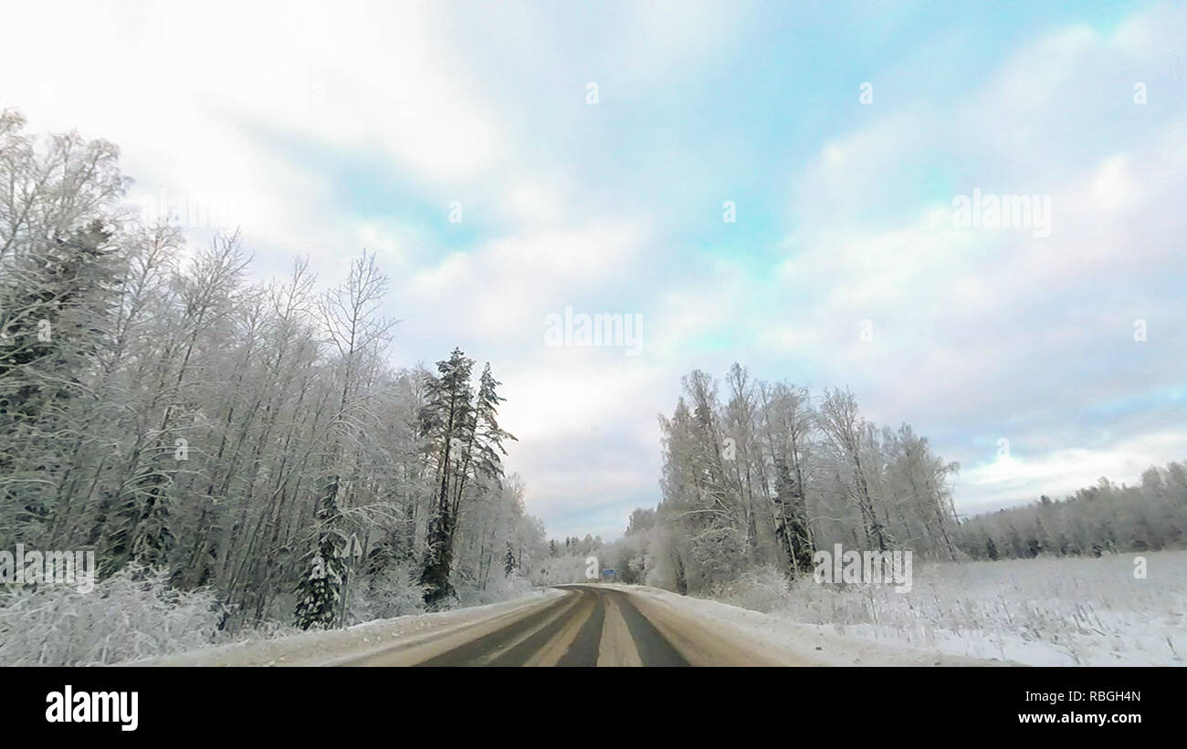 Country road in winter along the forest with white snow trees Stock ...