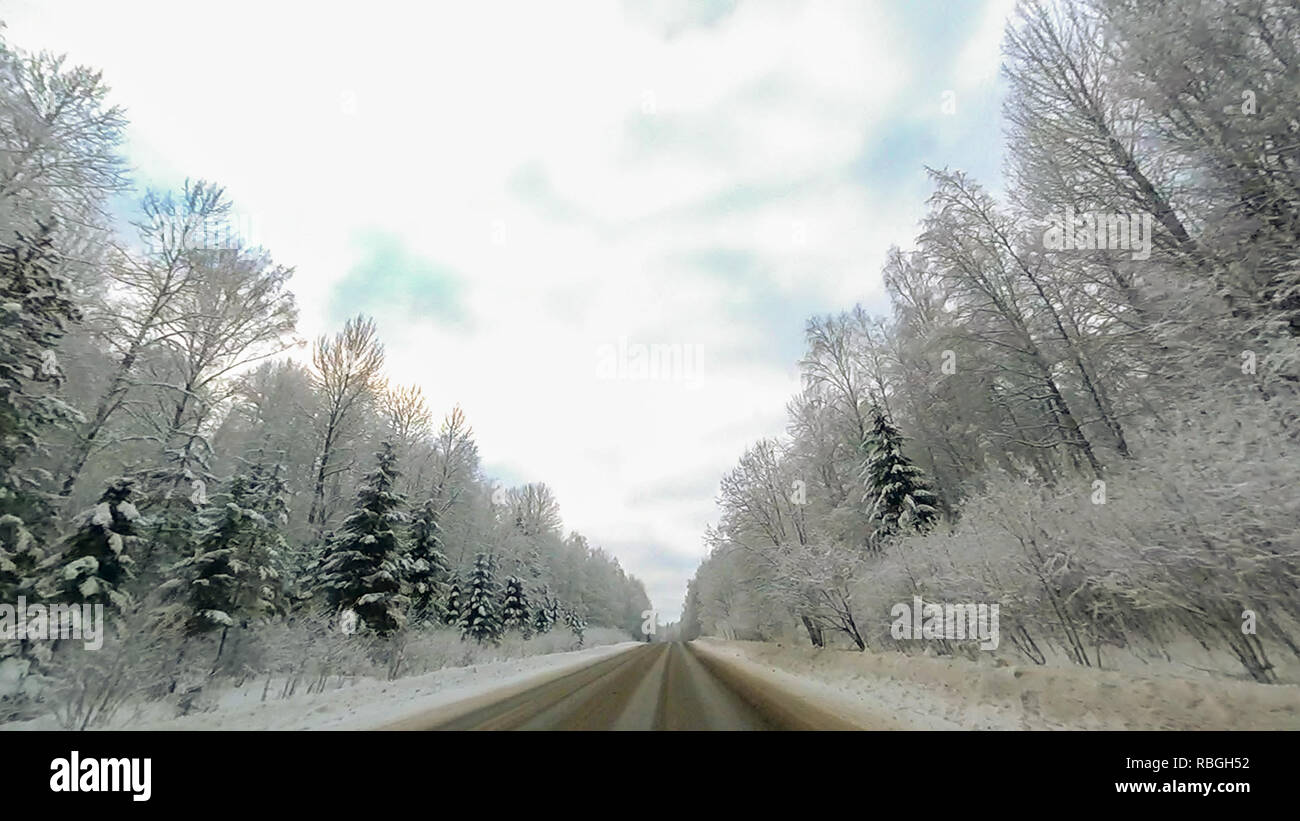 Country road in winter along the forest with white snow trees Stock ...