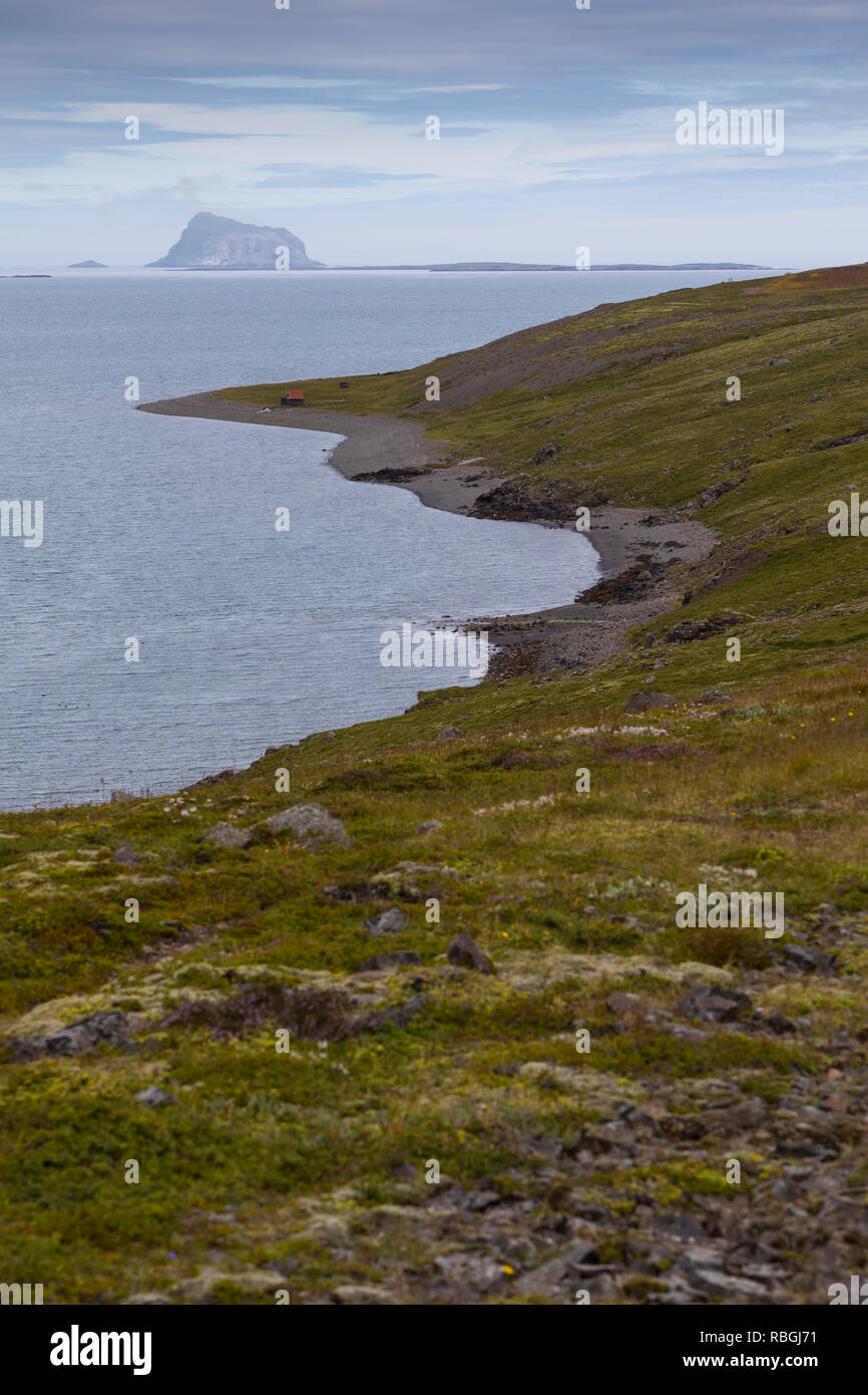 Fjord, Fáskrúðsfjörður, Faskrudsfjördur, im Osten von Island, mit der Felsinsel Skrúður, Skrudur Stock Photo