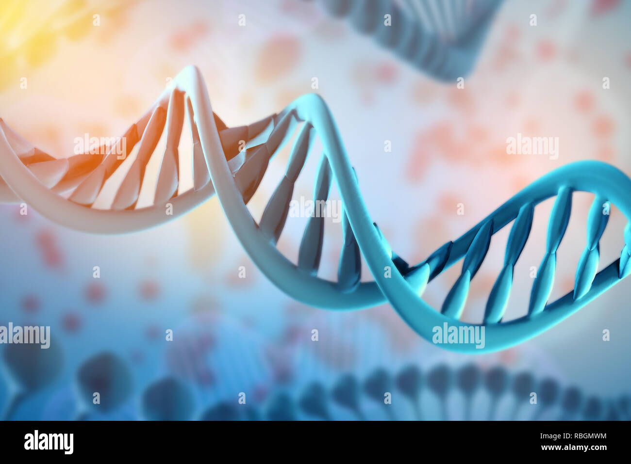 3d Illustration of DNA molecule. The helical molecule of a nucleotide ...