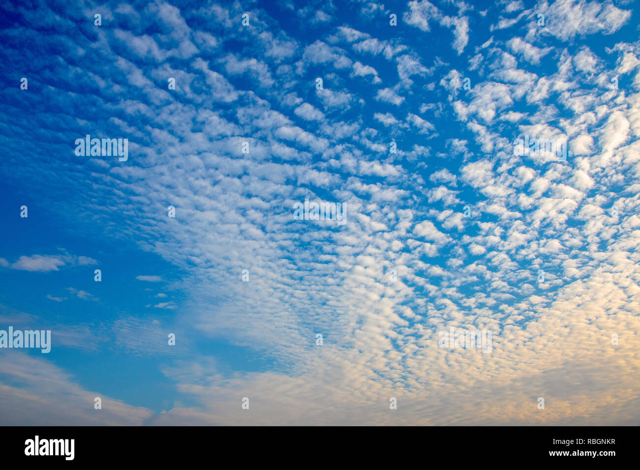 Beautiful sky with many white cloud in the morning Stock Photo - Alamy