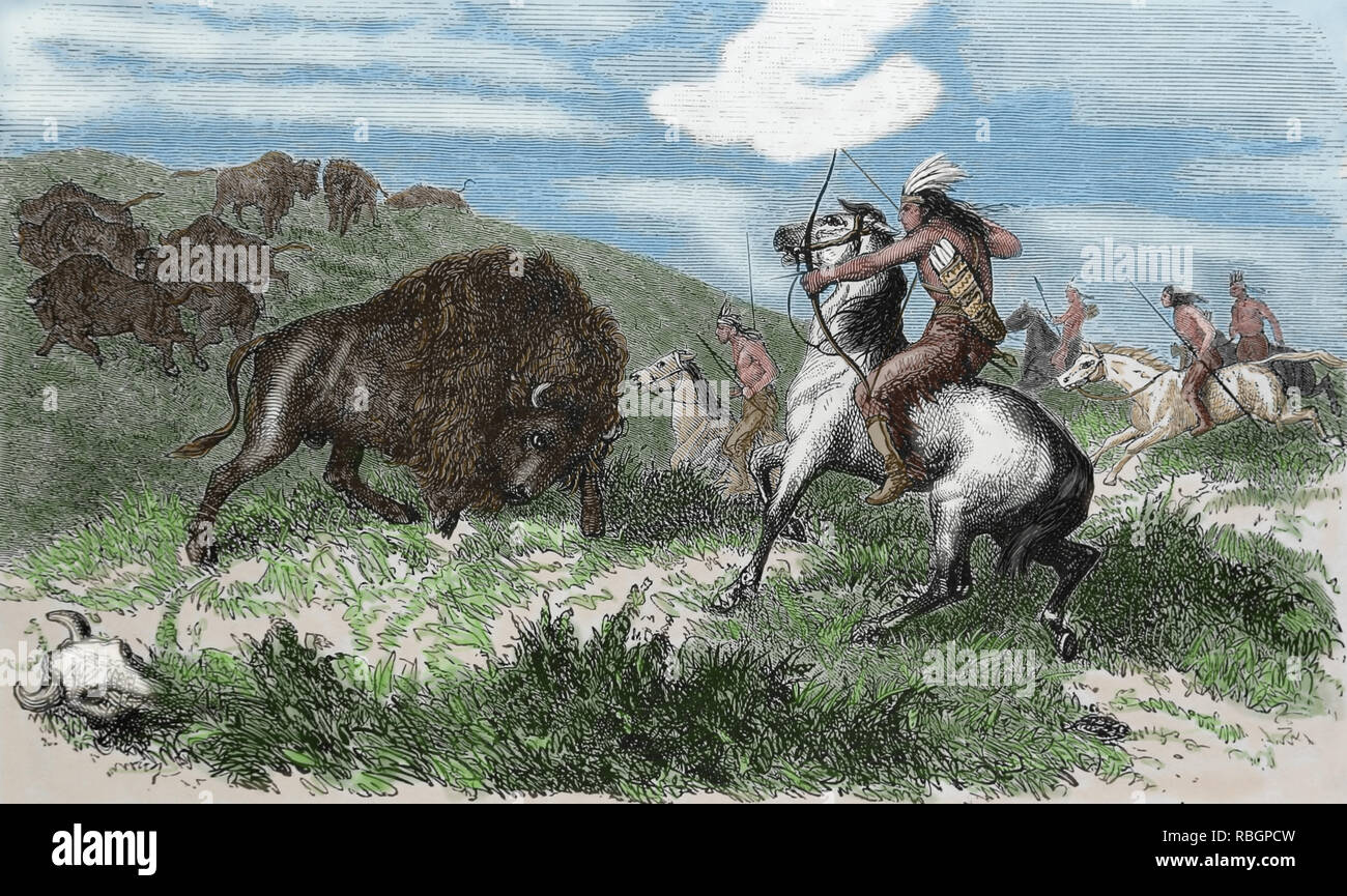 United States. Native Americans. Bison hunting. Engraving, 19th century. Stock Photo