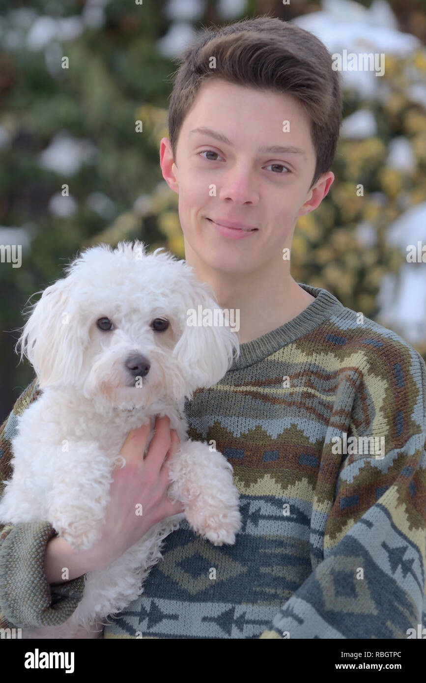 Maltese Dog and teen boy on winter park Stock Photo Alamy