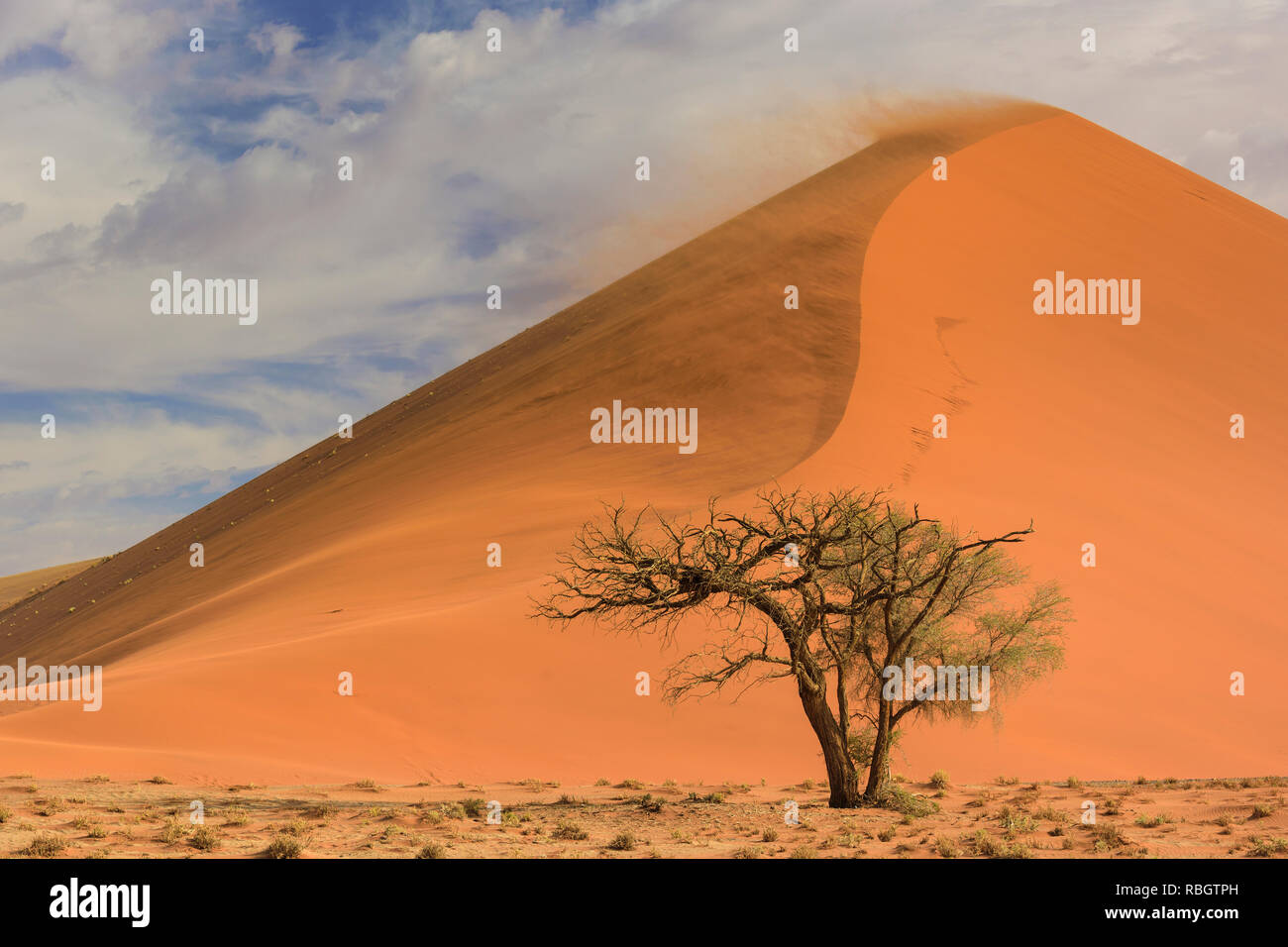 Sossusvlei salt pan with high red sand dunes in Namib desert, Namibia, Africa. Stock Photo