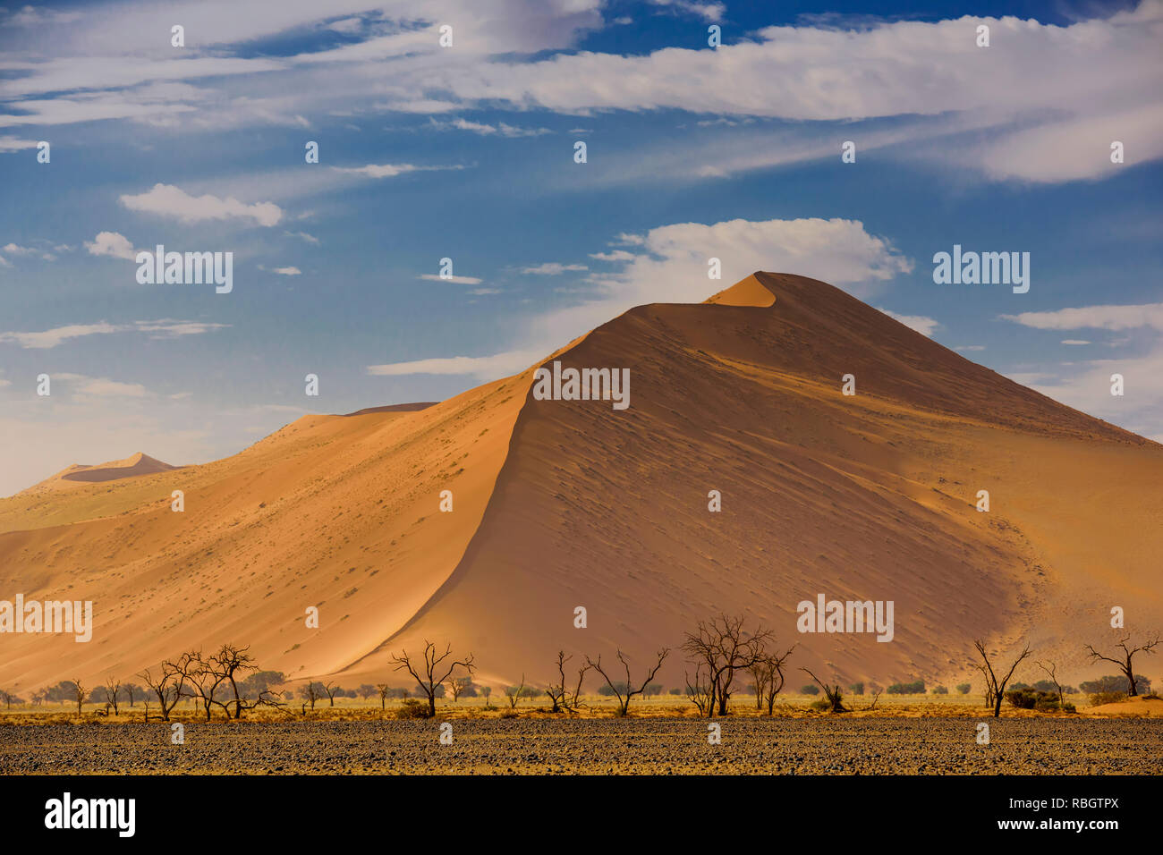 Sossusvlei salt pan with high red sand dunes in Namib desert, Namibia, Africa. Stock Photo