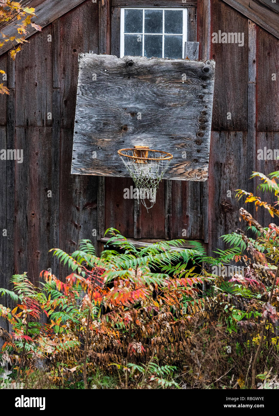 Weathered old basketball hoop attached to a barn, Bristol, Vermont, USA. Stock Photo