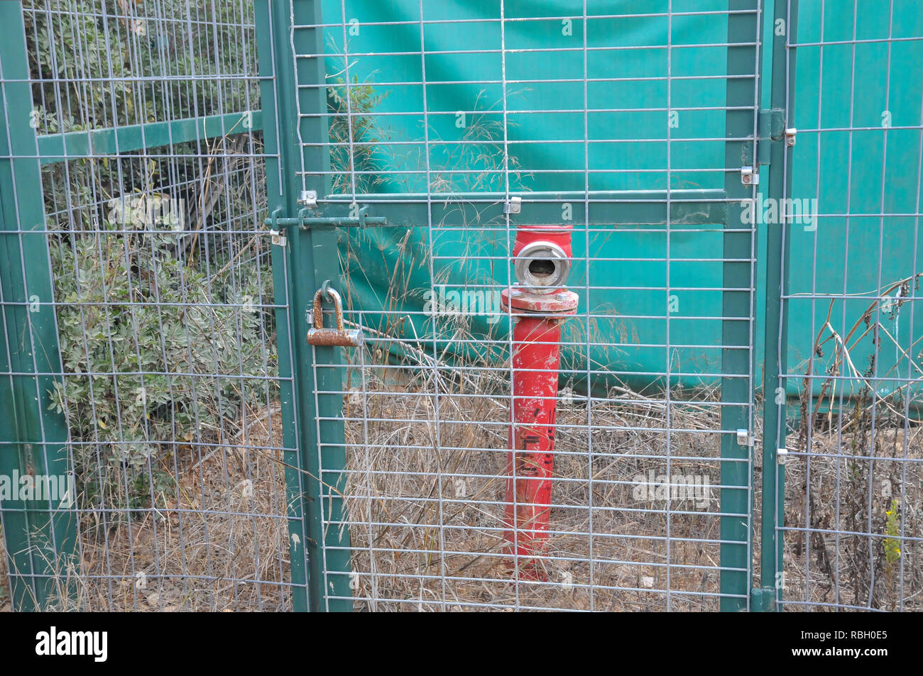 fire hydrant locked in a cage Hamasrek (Comb) Nature reserve is a forest located in the Jerusalem Hills, Israel Stock Photo