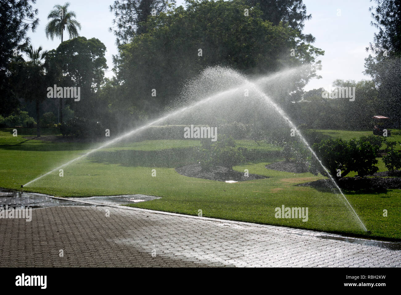 Brisbane botanic gardens hires stock photography and images Alamy