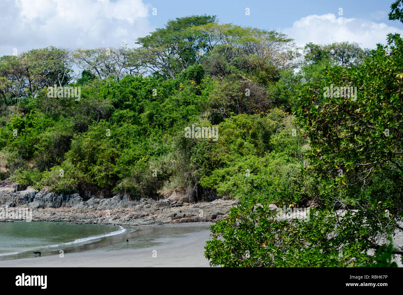 Tropical Dry Forest landscape Stock Photo