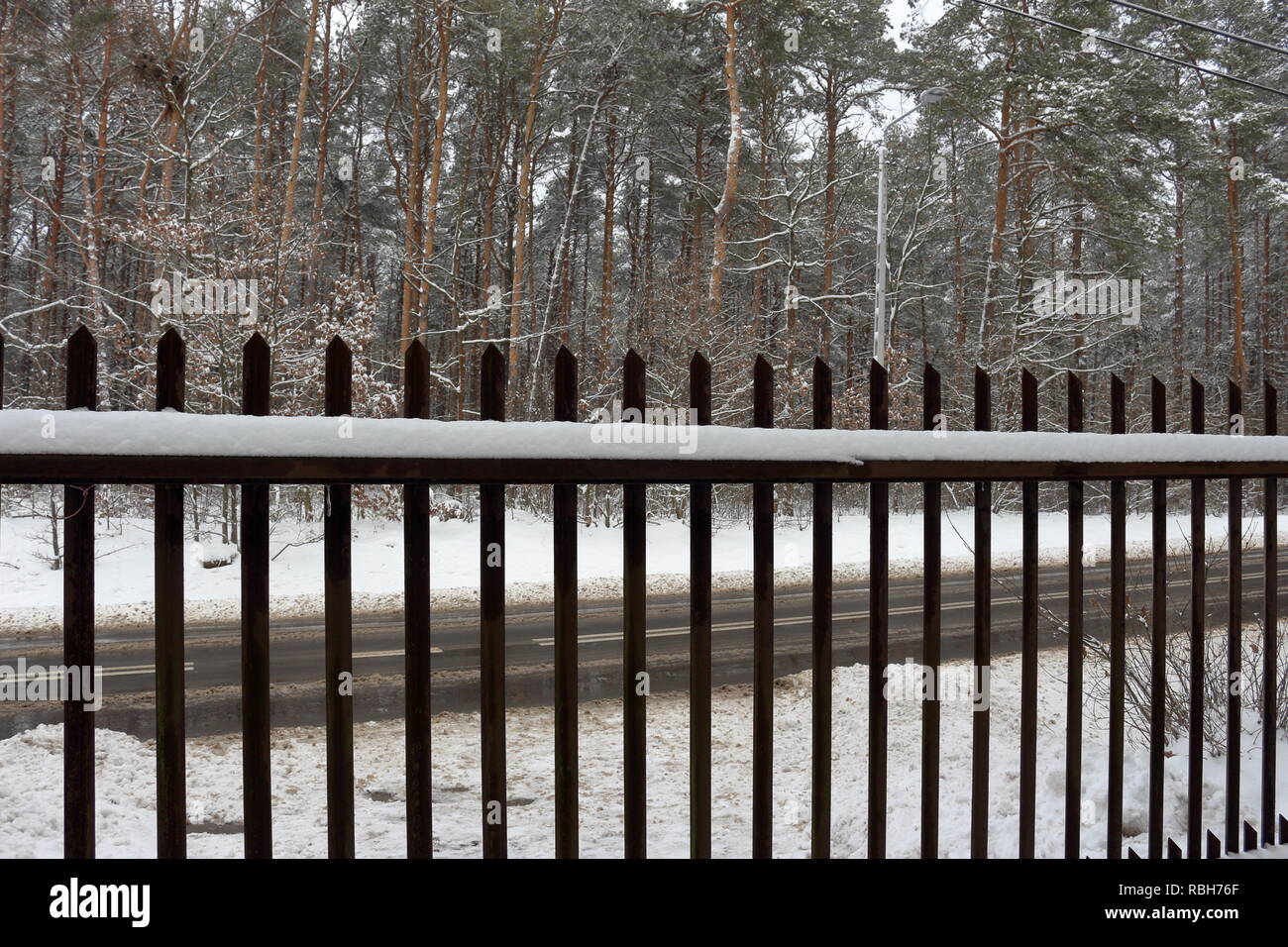 Metal gate, road and forest in winter Stock Photo