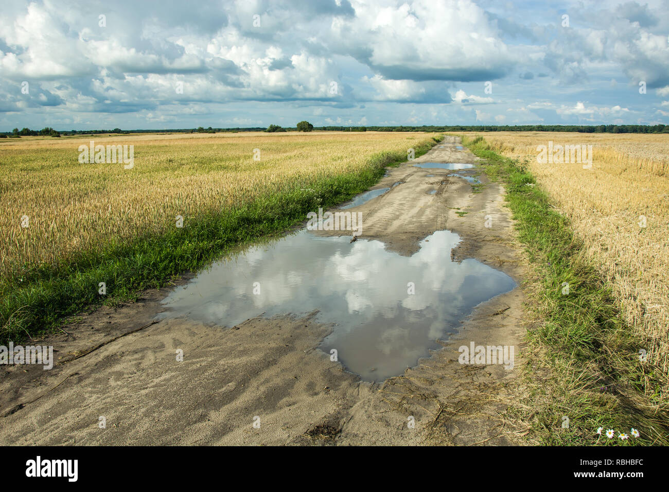 Поле с лужами. Сельская дорога после дождя. Грунтовая дорога после дождя. Поле с лужами. Слякоть в деревне.