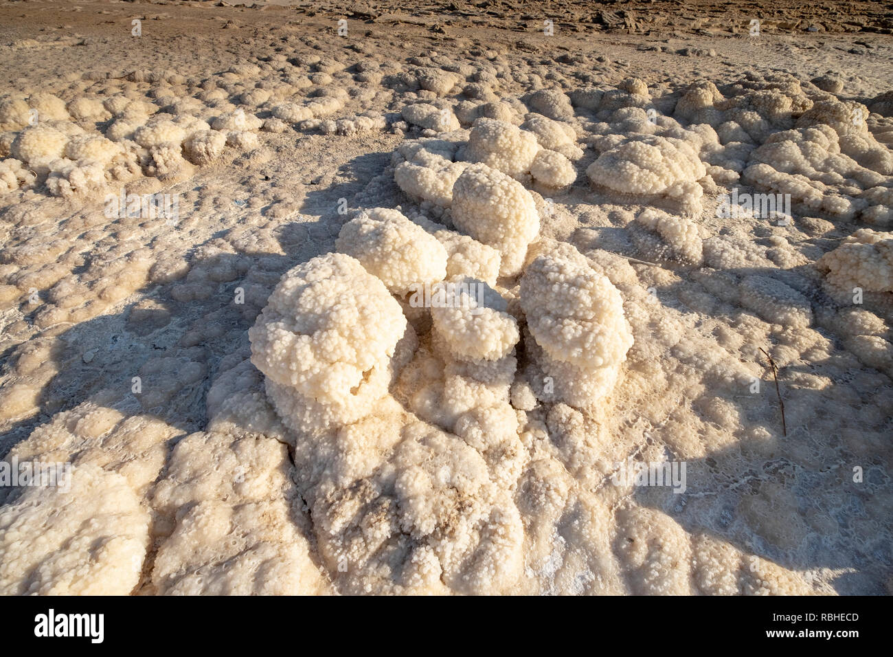 Crystallized salt rocks along the shores of the Dead Sea, Israel Stock ...