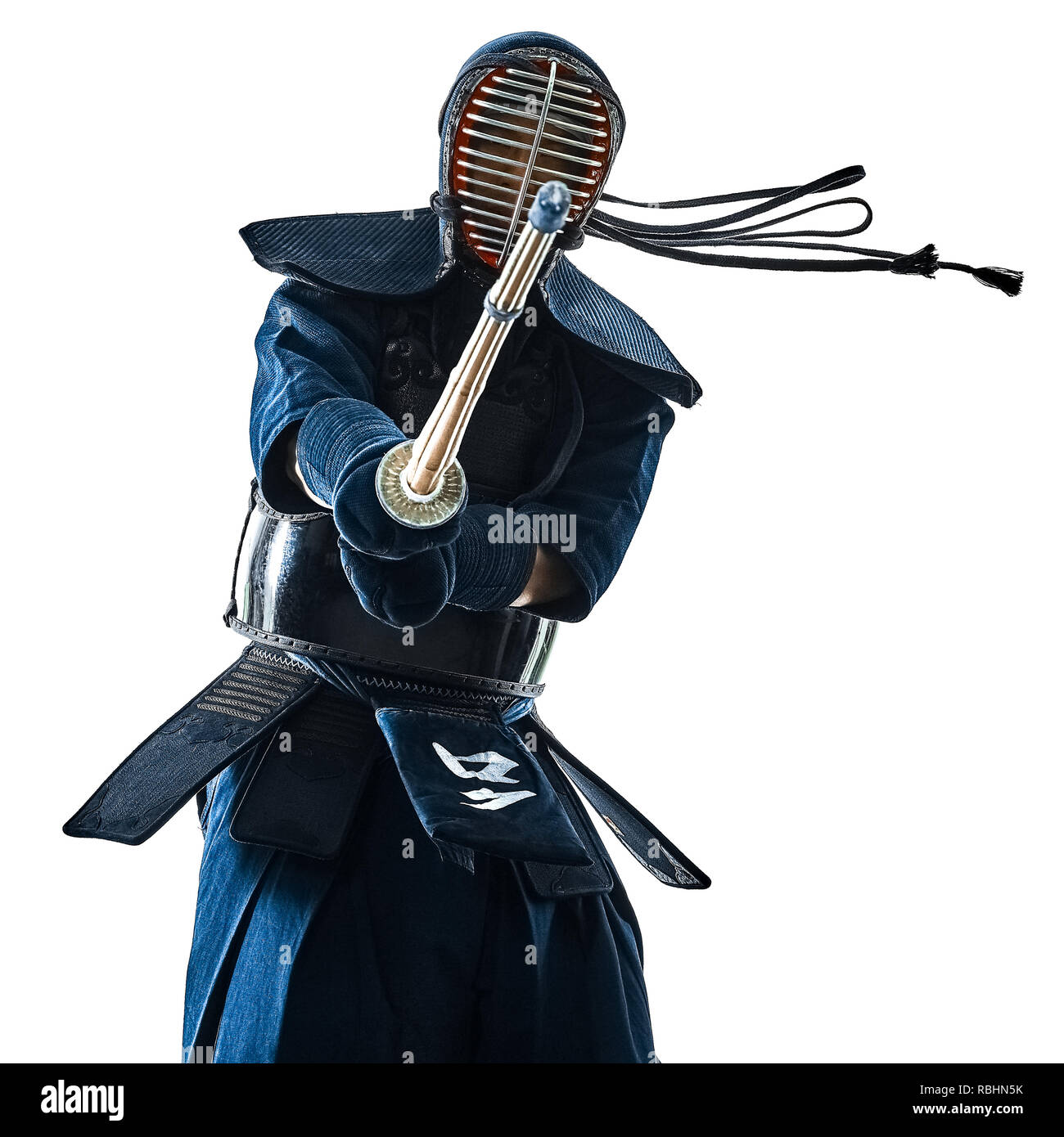 Software - Kendo Warrior