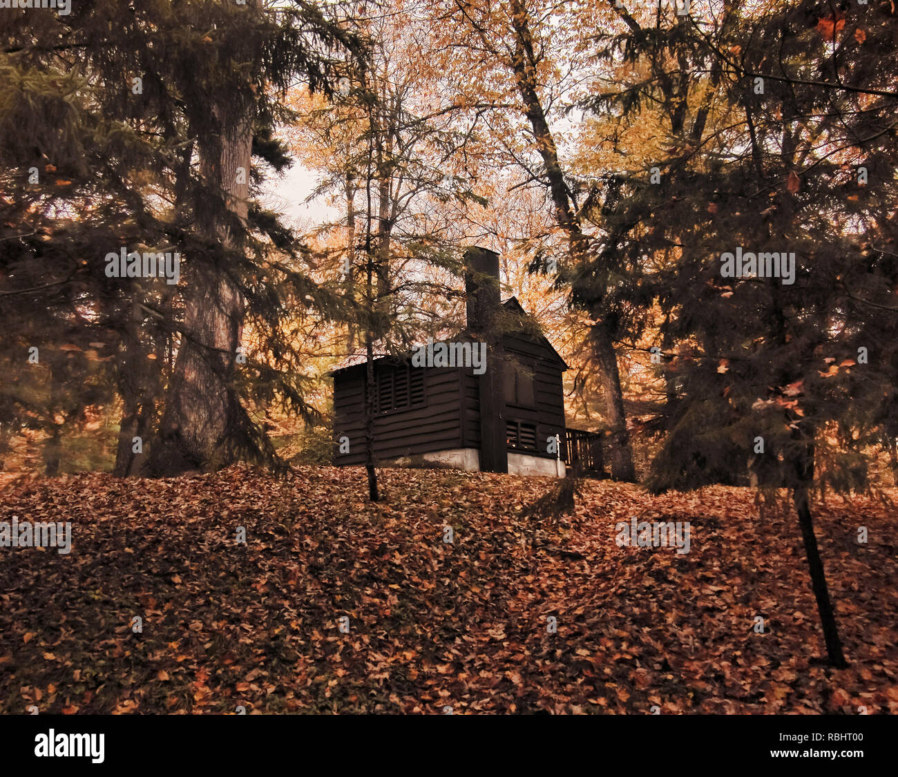 Simple cabin on a hill in the woods Stock Photo - Alamy