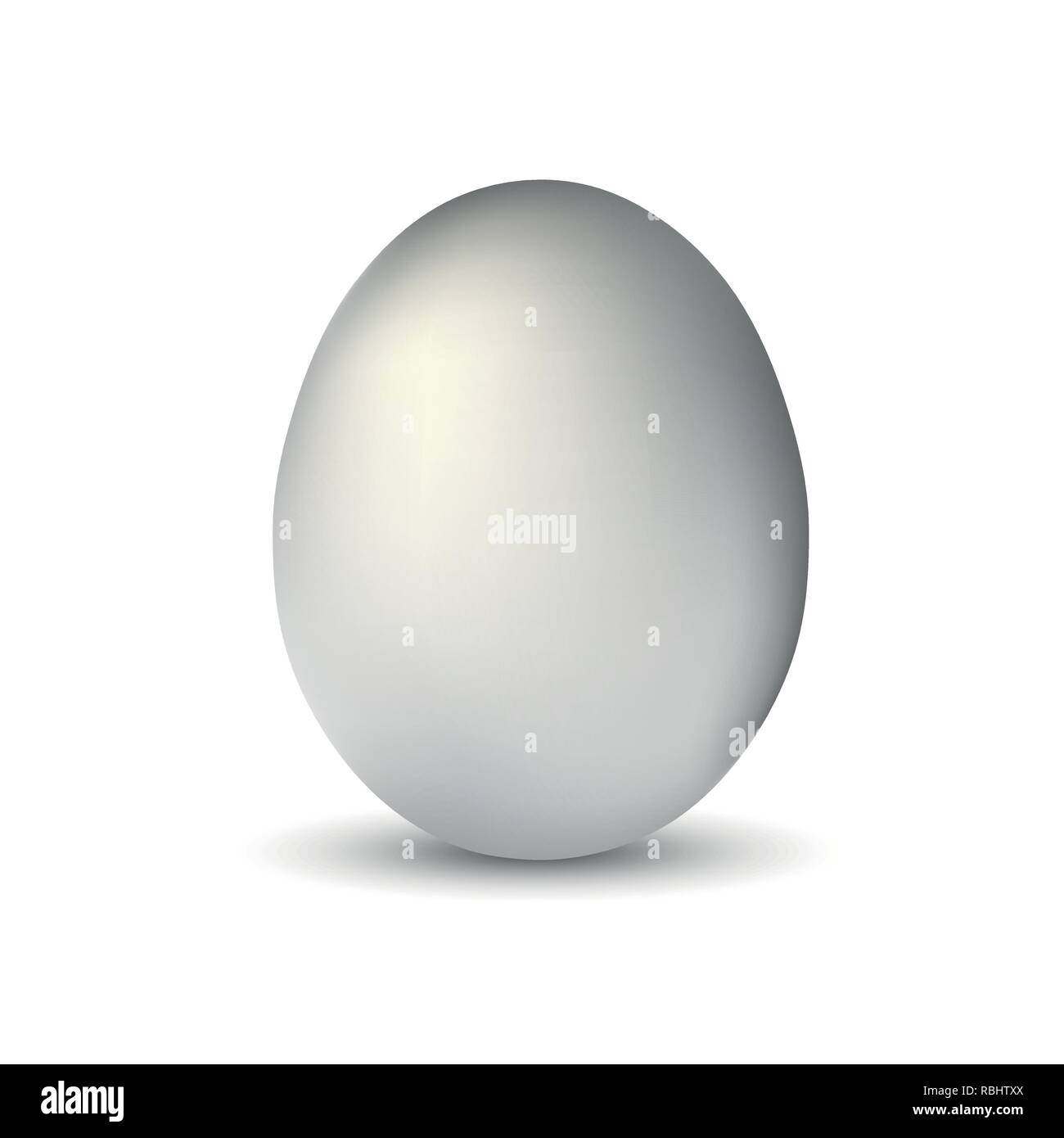 white single realistic animal egg isolated with soft shadow on white background vector illustration EPS10 Stock Vector
