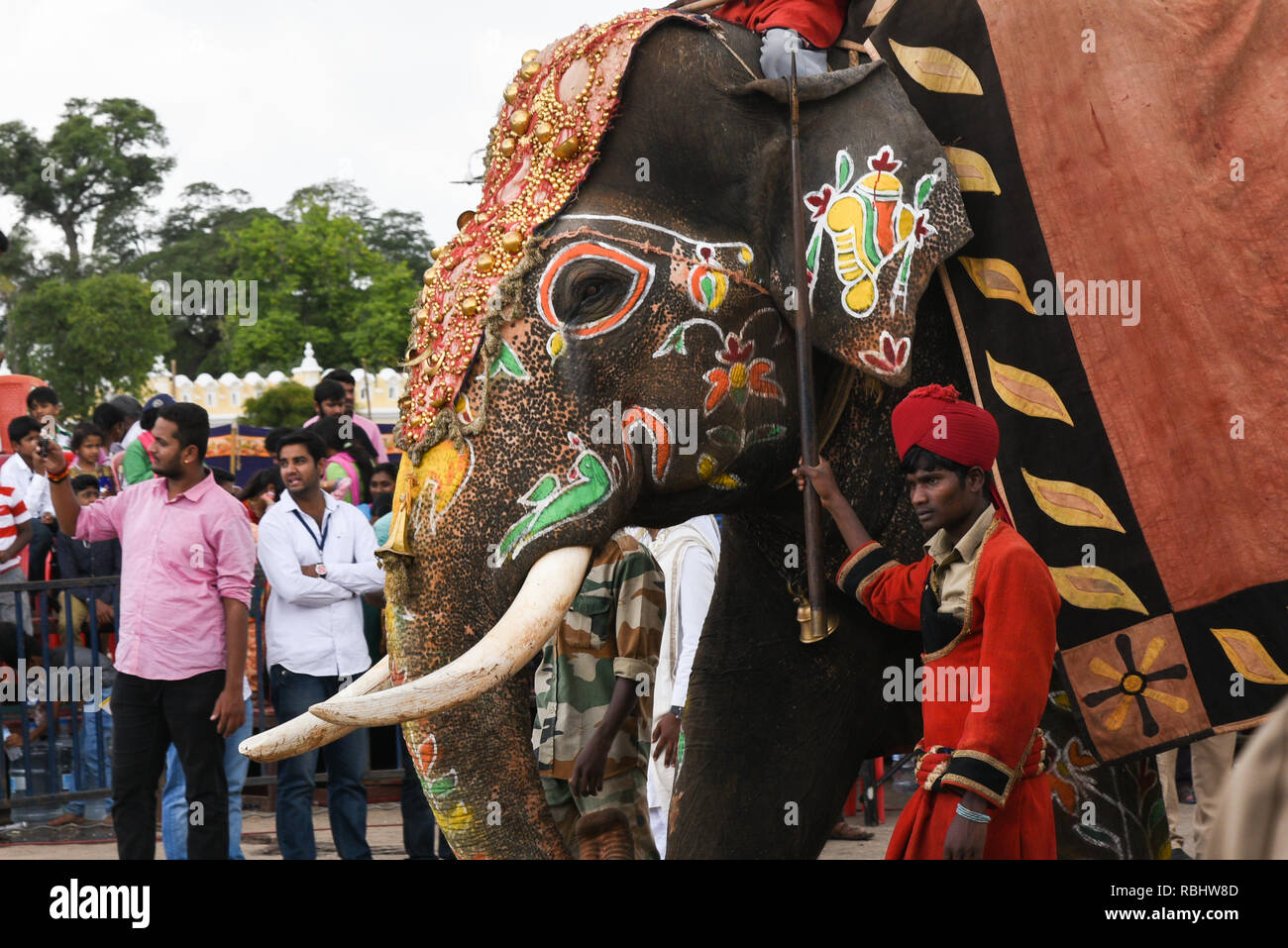 Decorated elephants at Mysore Dussehra celebration or Dasara festival