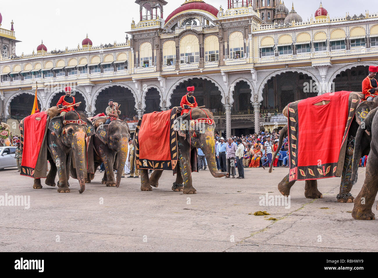 Decorated elephants at Mysore Dussehra celebration or Dasara ...