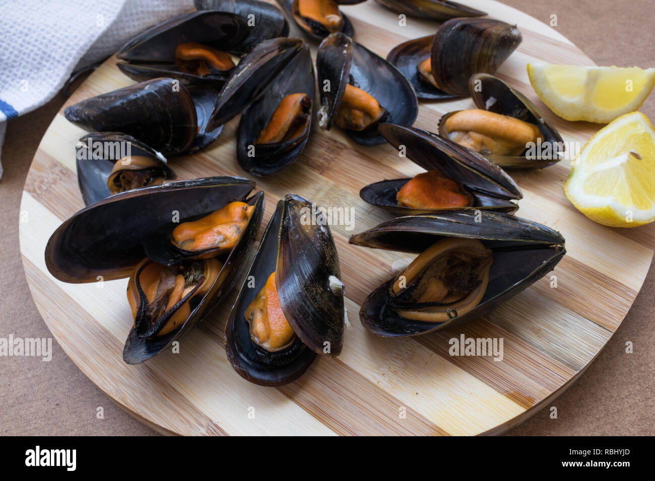 Freshwater mussels hires stock photography and images Alamy