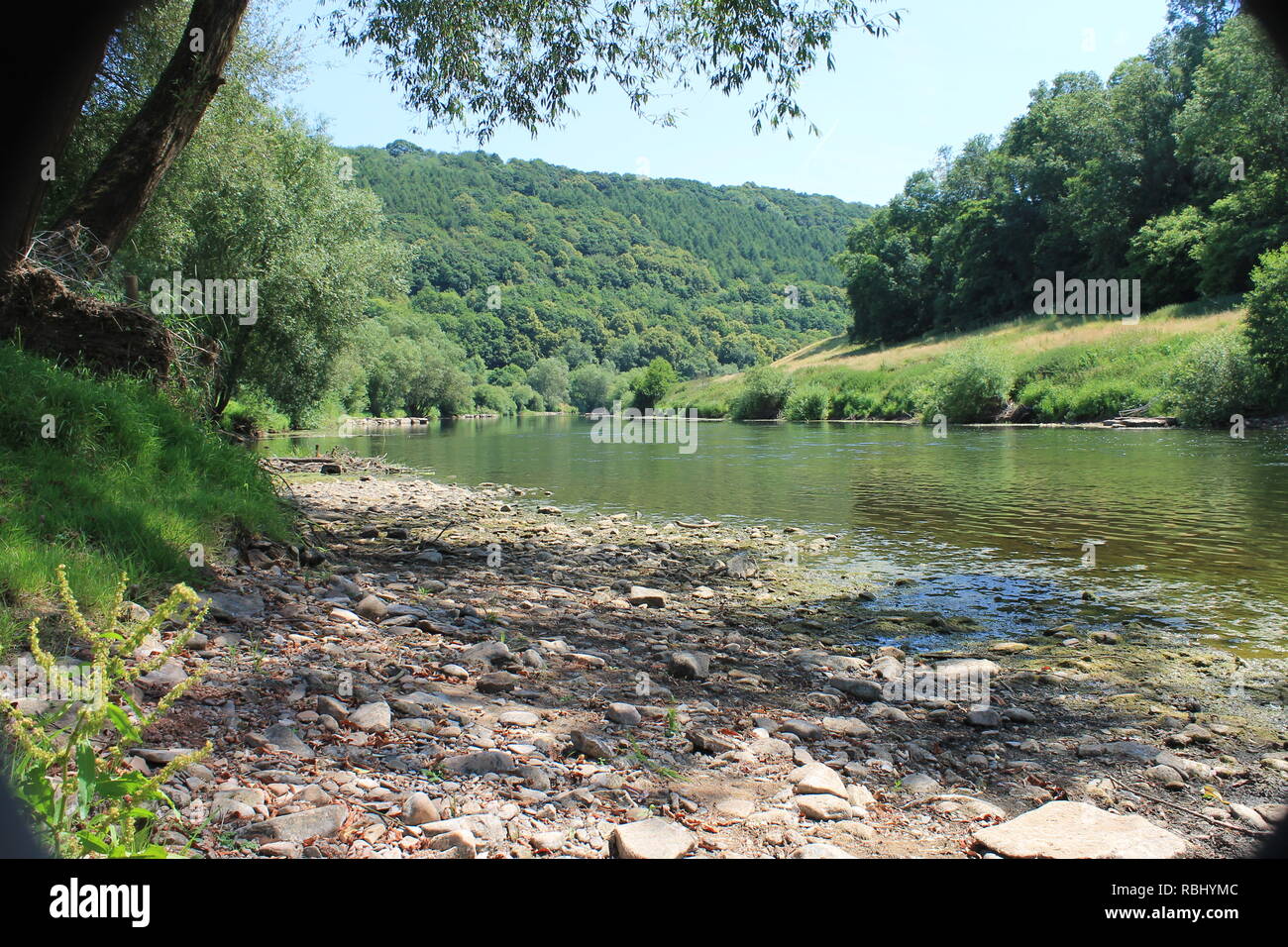 River Wye and Lords Grove south of Monmouth, UK Stock Photo
