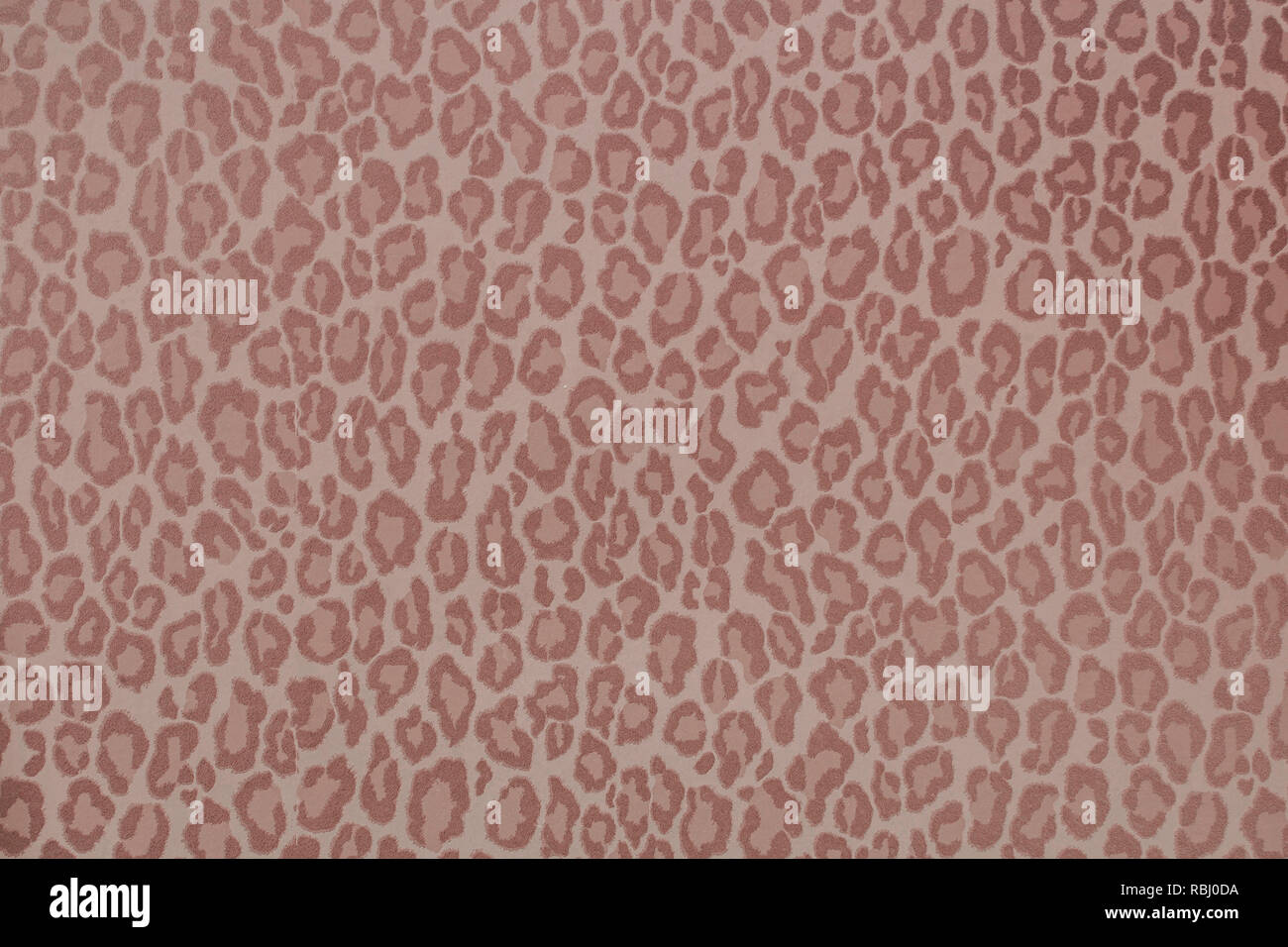 Leopard Wild Animal Pattern Background Or Texture Wallpaper Concept Colorful Filter Stock Photo Alamy