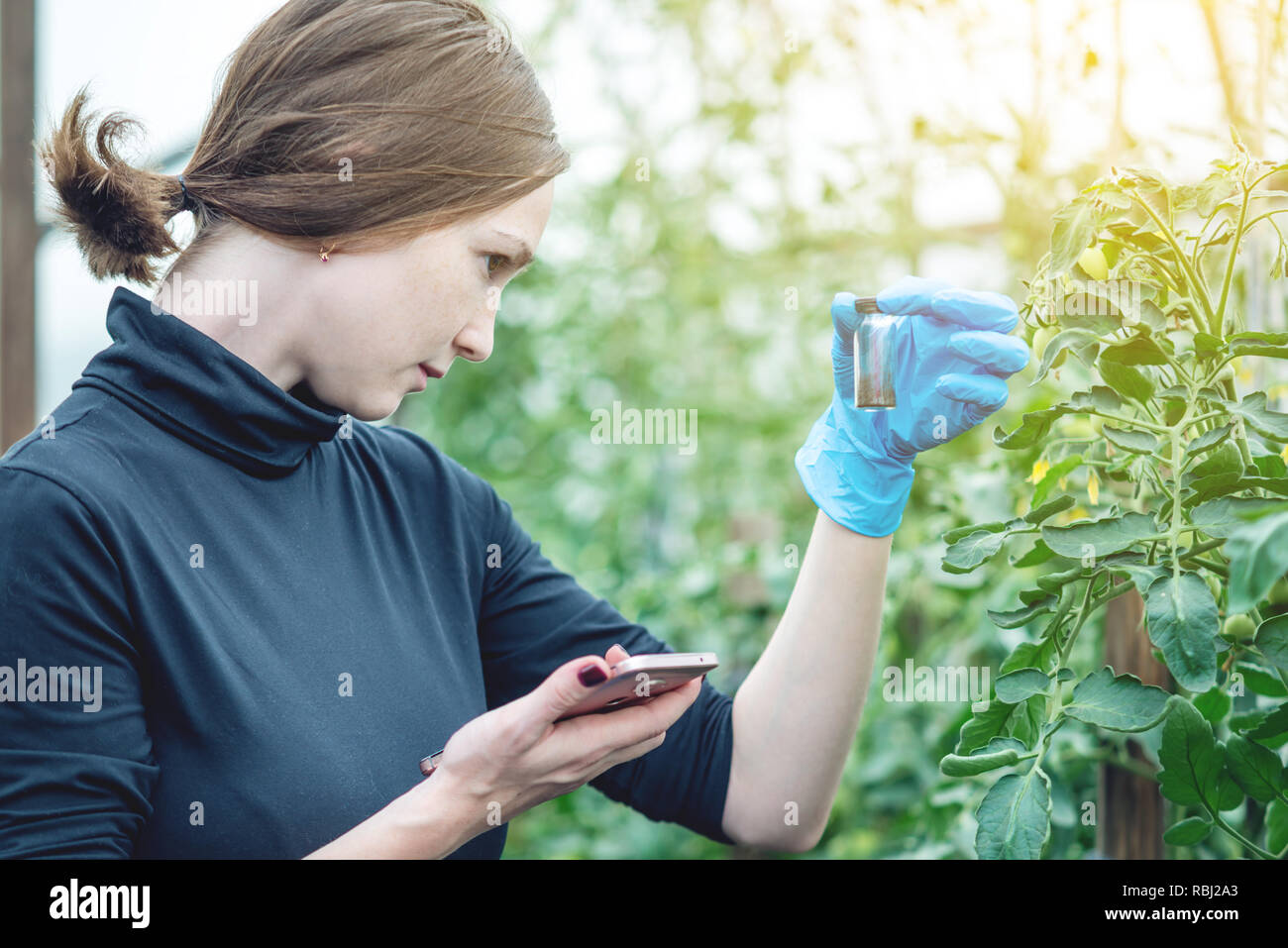 Woman specialist agronomist holding a sample of the soil and a tablet. Concept environmentally friendly farm production without nitrates. Stock Photo