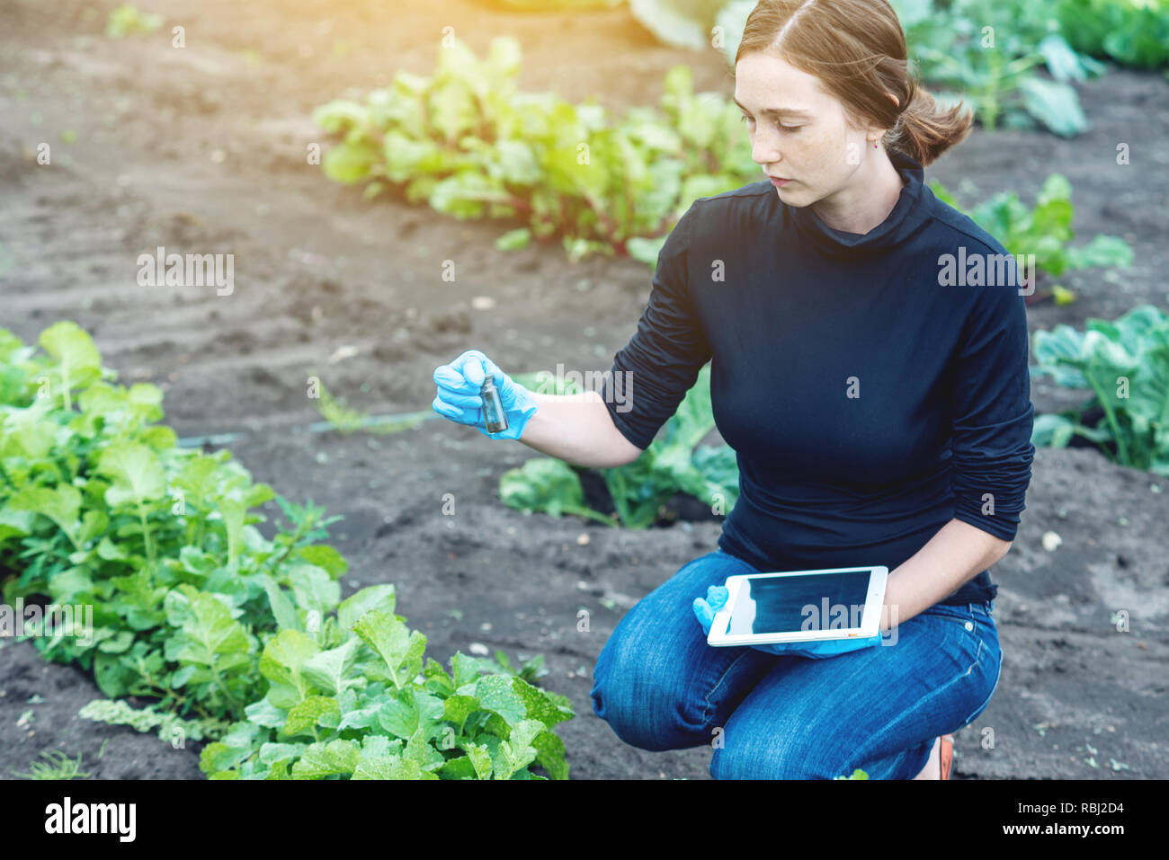Woman specialist agronomist holding a sample of the soil and a tablet. Concept environmentally friendly farm production without nitrates. Stock Photo