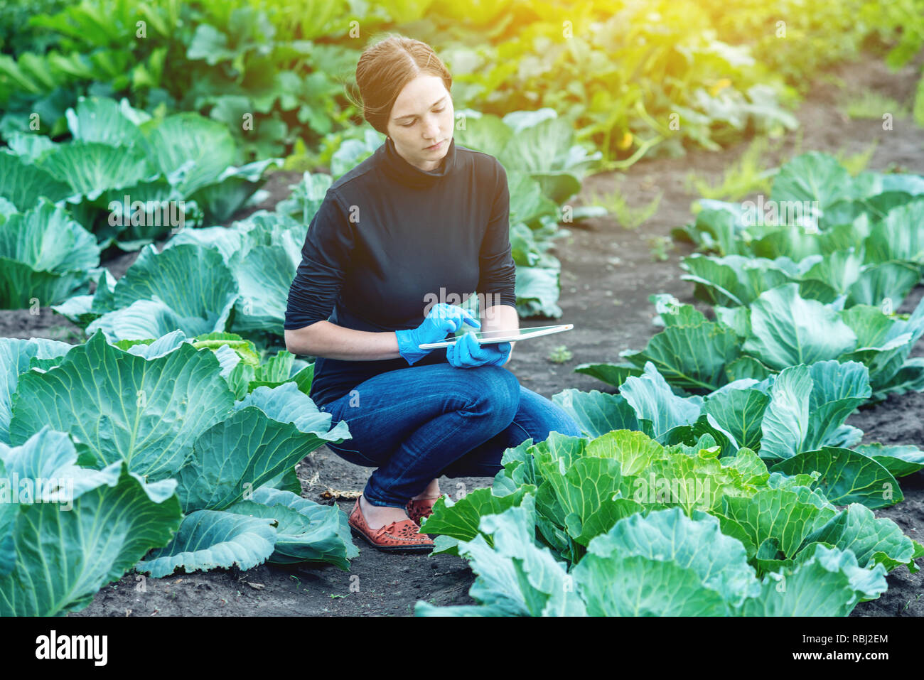 Woman specialist agronomist holding a tablet. The concept of agricultural farms and quality control Stock Photo