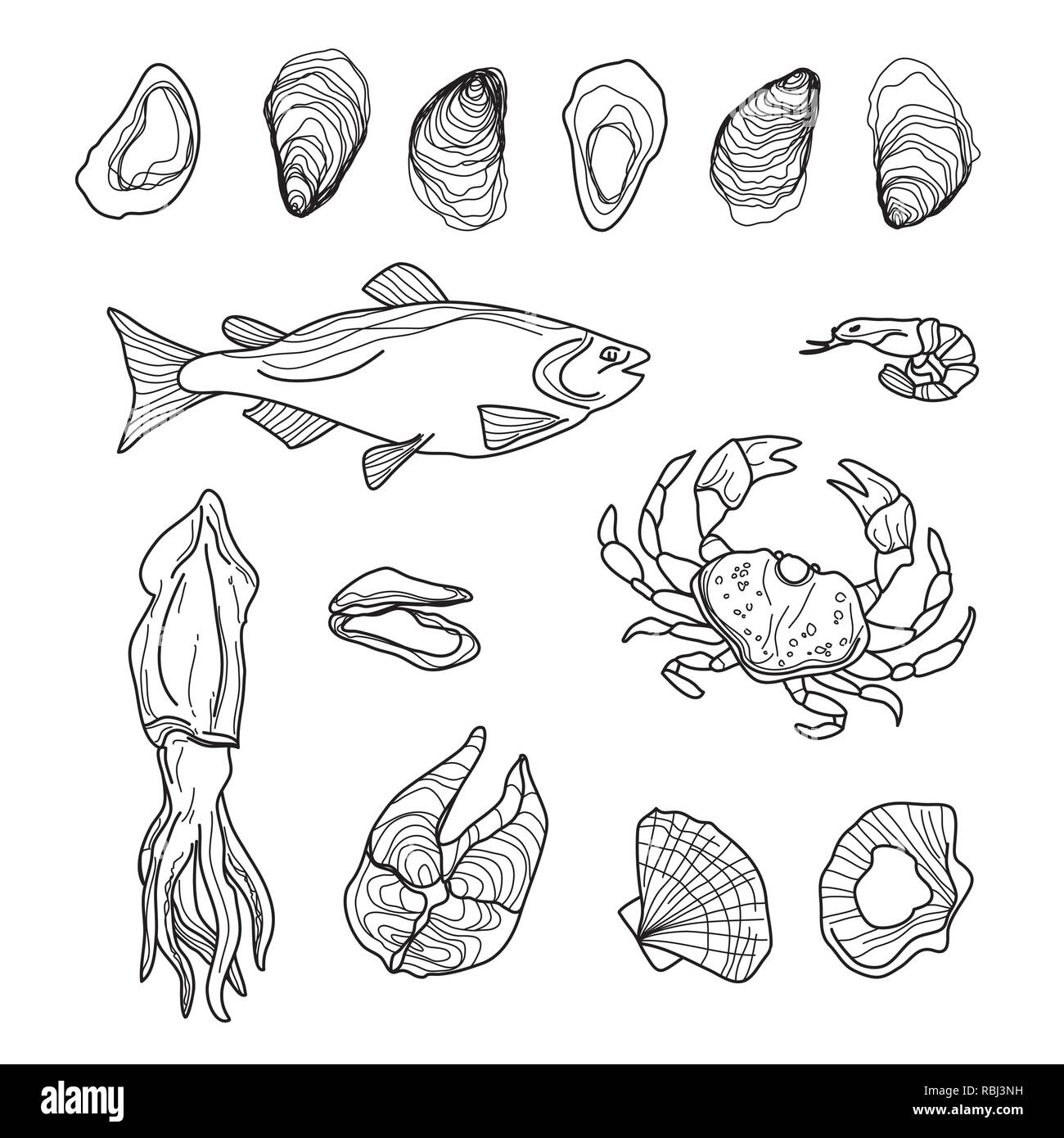 Hand Drawn Seafood Collection on White. Fish, Crab, Squid, Oysters, Shrimps, Mussels, Salmon Stock Vector