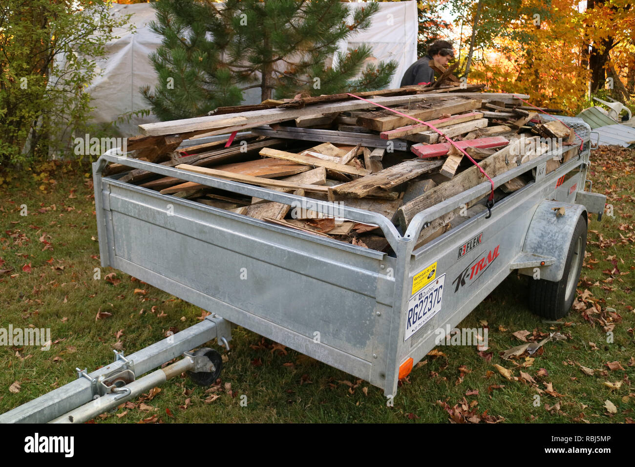 A man tying down a trailer full of scrap wood ready to be burnt Stock
