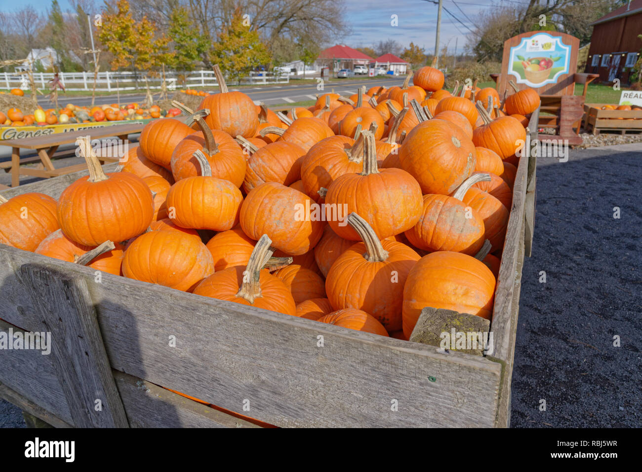 Full trailer hi-res stock photography and images - Alamy