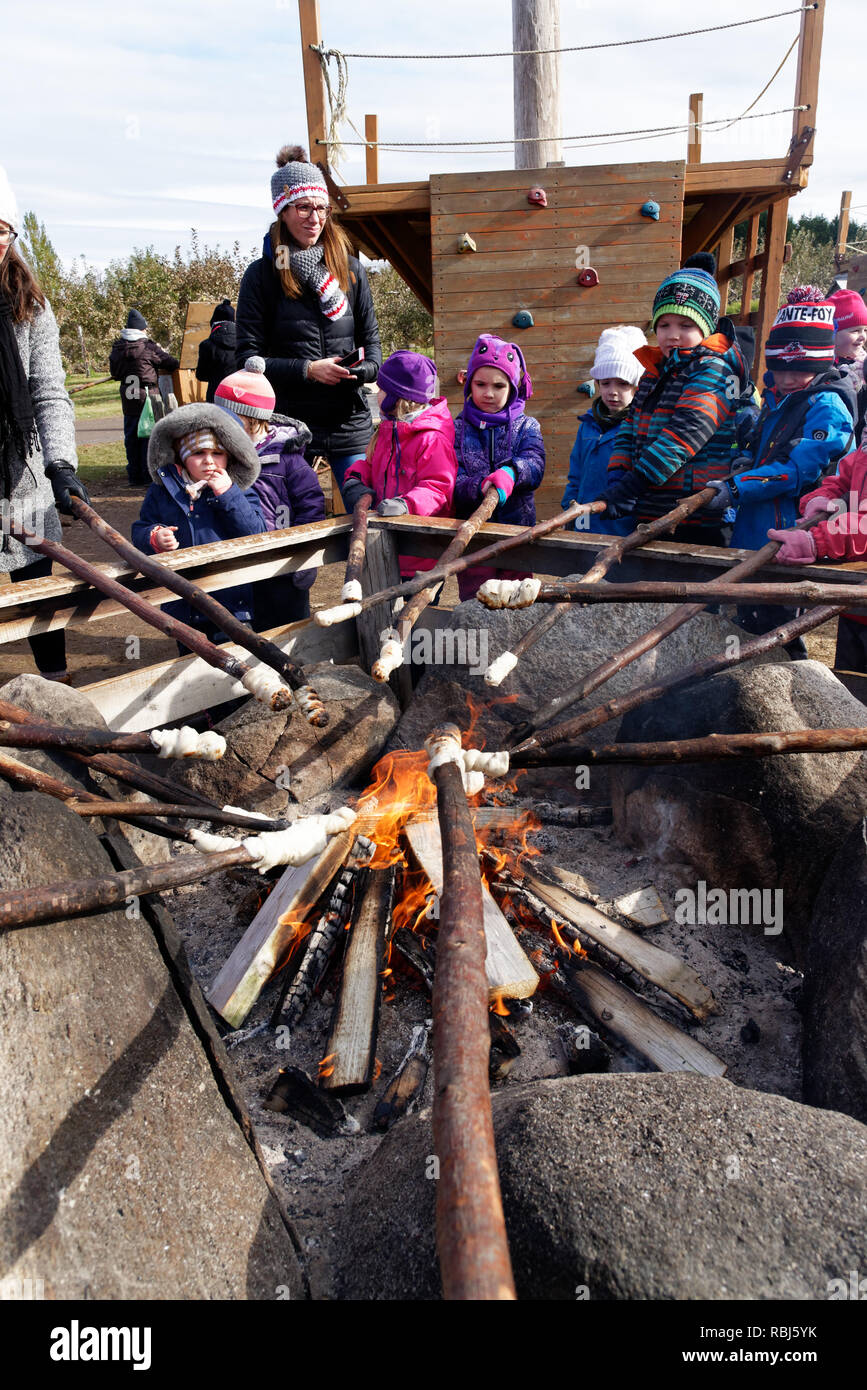 Children cooking bannock campfire bread on sticks over an open fire Stock Photo