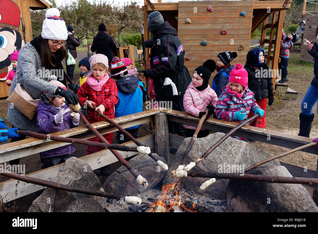 Children cooking bannock campfire bread on sticks over an open fire Stock Photo