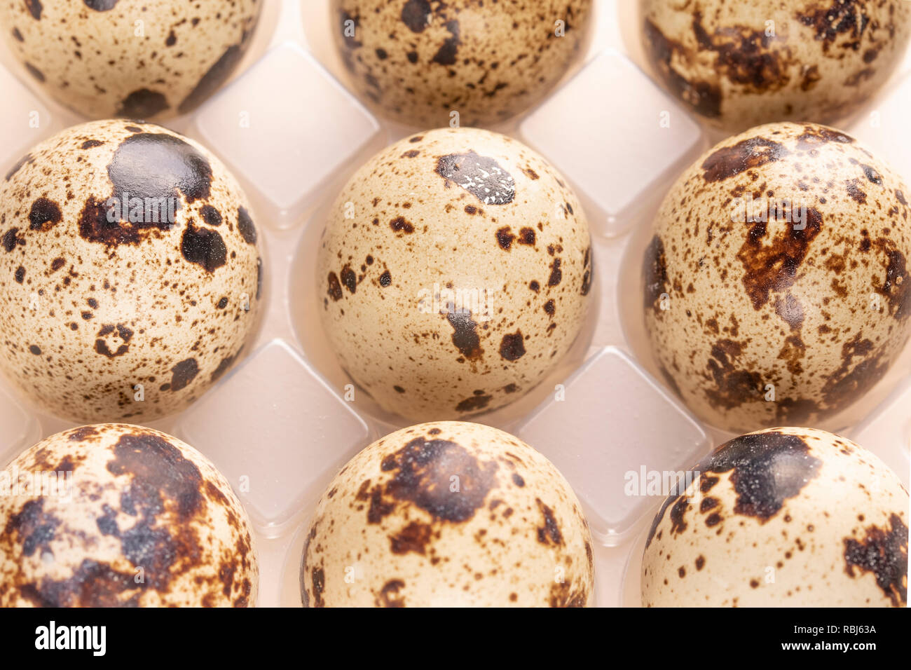 Several quail eggs in plastic packaging close-up Stock Photo