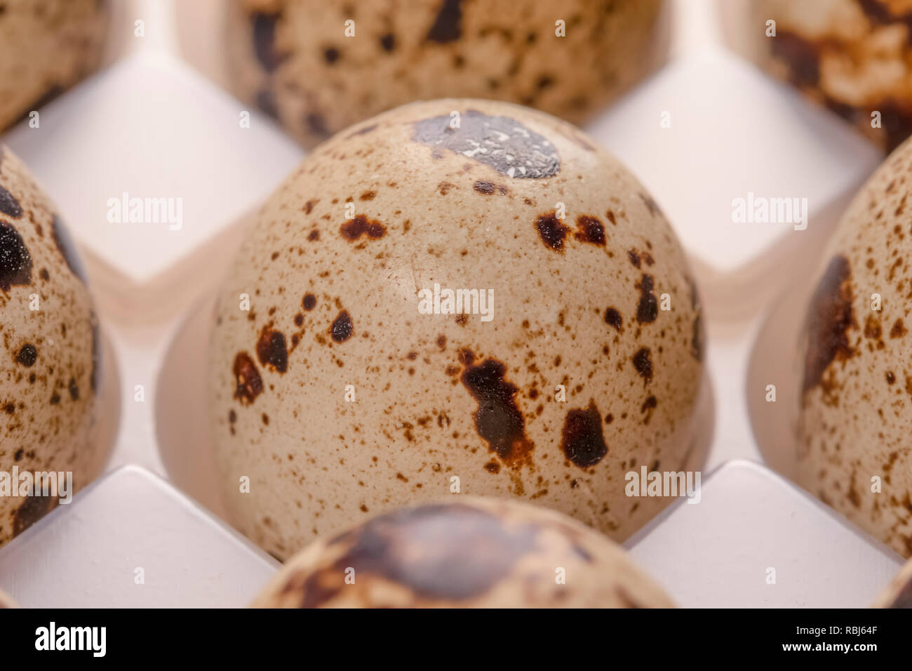Several quail eggs in plastic packaging close-up Stock Photo