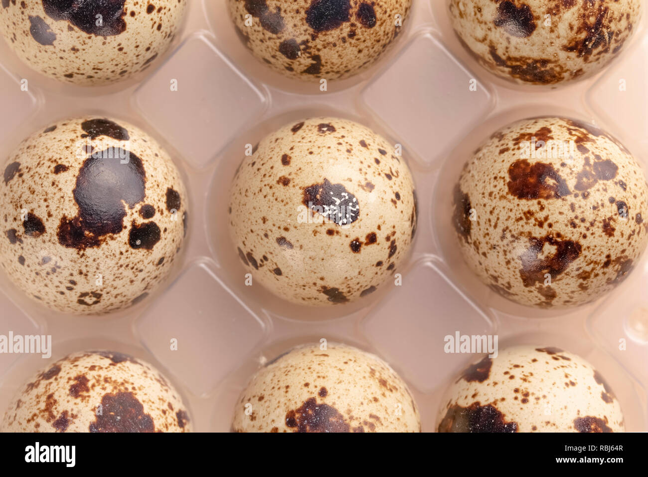 Several quail eggs in plastic packaging close-up Stock Photo