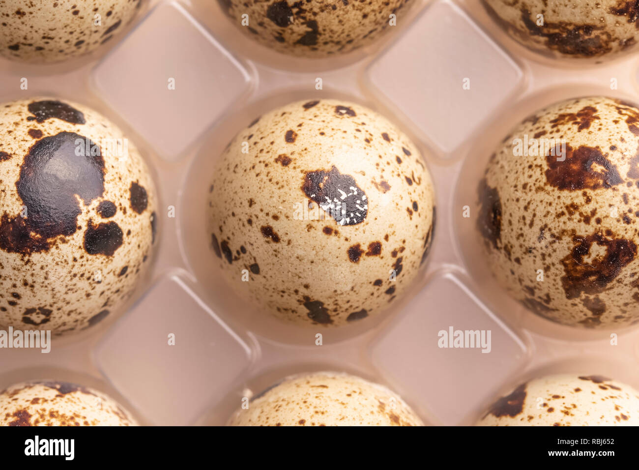 Several quail eggs in plastic packaging close-up Stock Photo