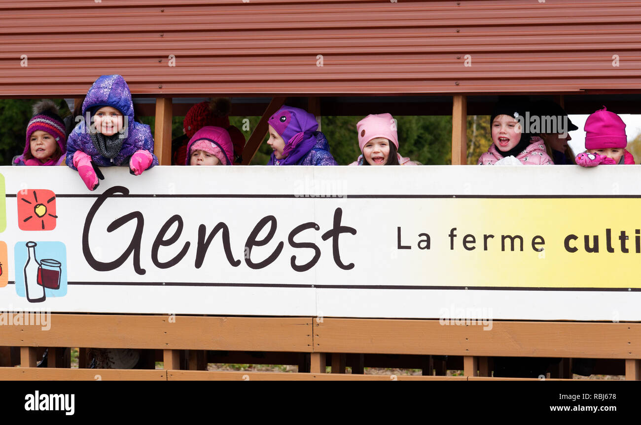 Pre-school children on a farm visit, looking out of the windows of a farm trailer. Stock Photo