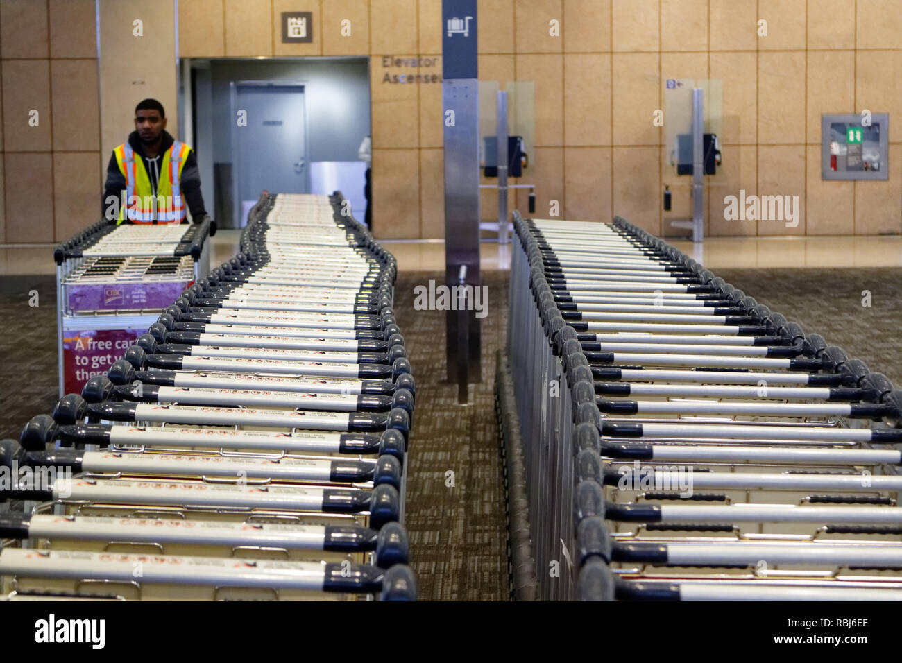 An airport employee parking luggage trolleys at Toronto Peasron airport Stock Photo