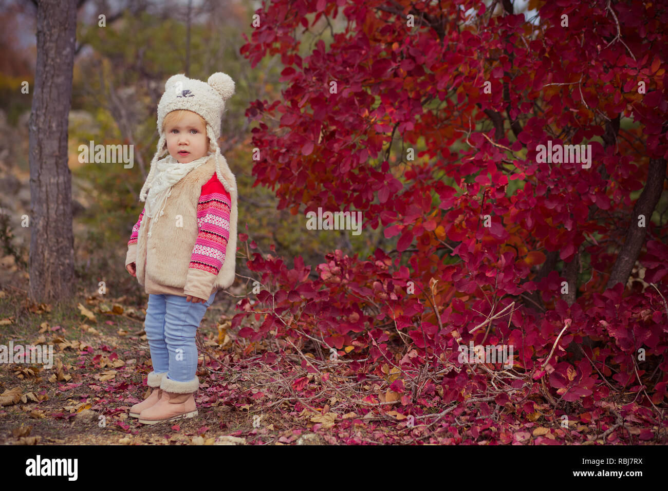 teddy bear jacket baby girl