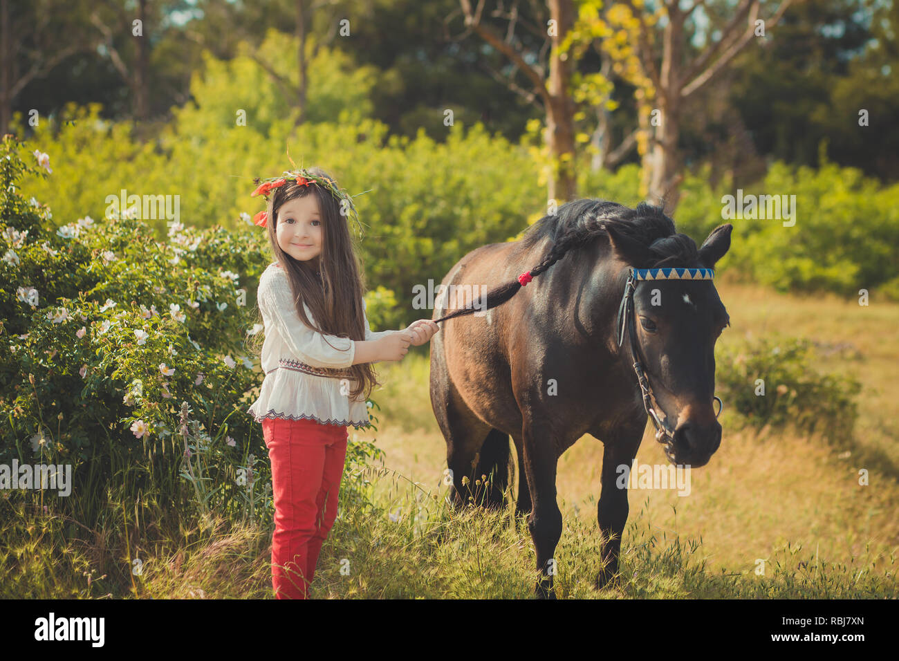 Girl with brunette hair and brown eyes stylish dressed wearing rustic village clothes white shirt and red pants on belt posing with black young horse  Stock Photo