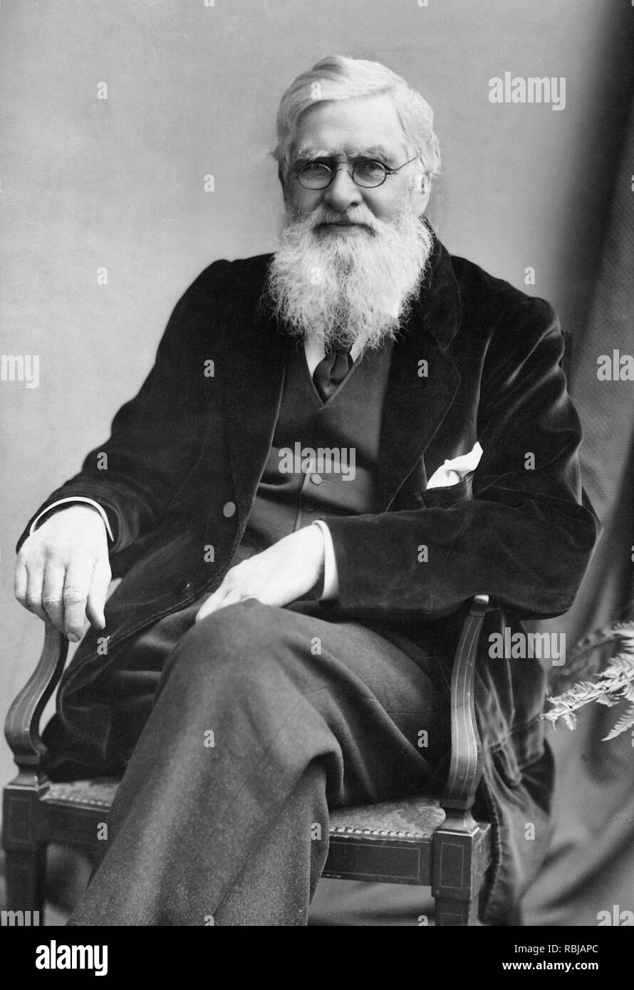 Alfred Russel Wallace, circa 1895. Alfred Russel Wallace OM FRS was a British naturalist, explorer, geographer, anthropologist, and biologist. Stock Photo