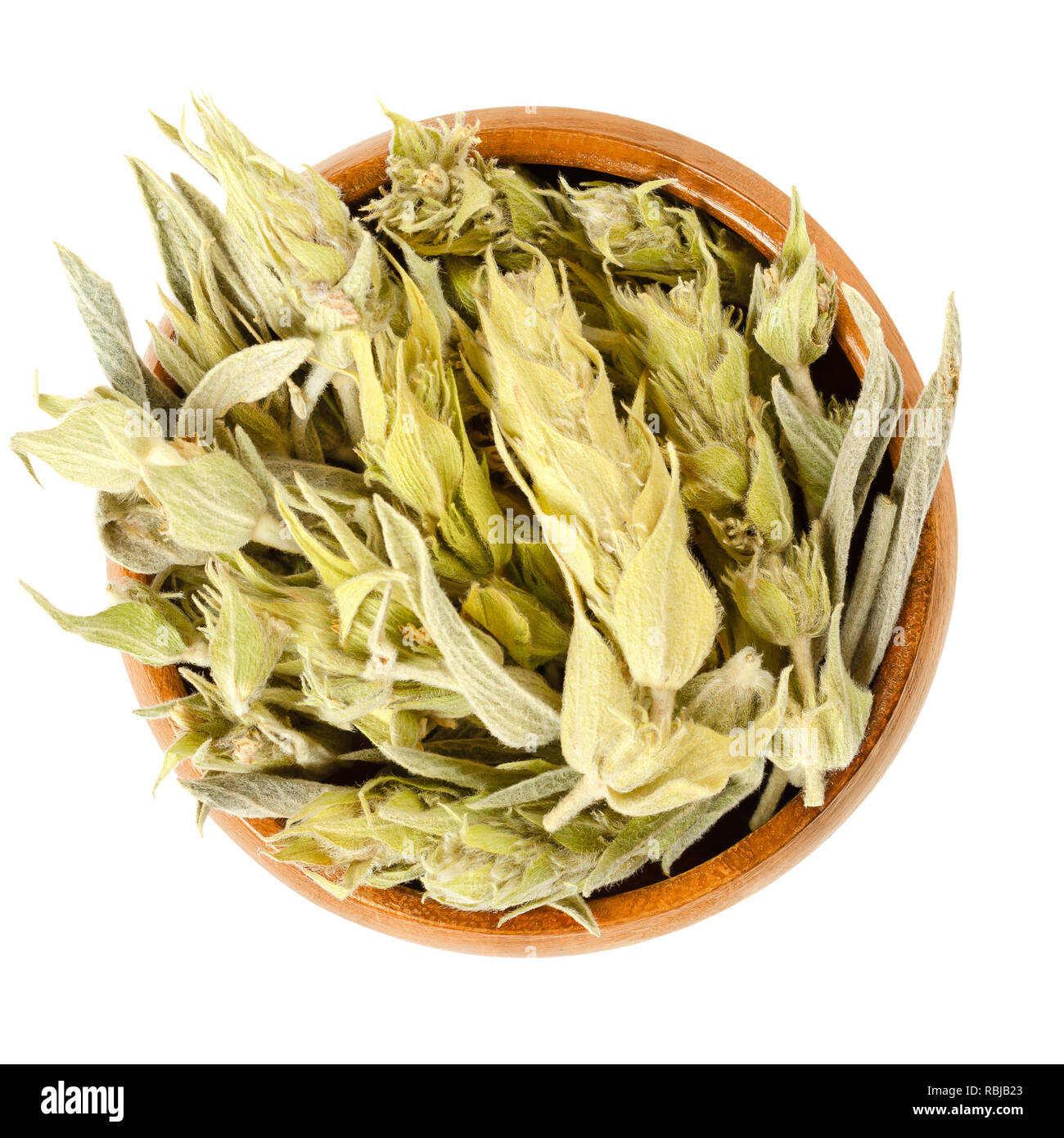 Sideritis, Greek mountain tea in wooden bowl. Also ironwort and shepherds tea. Dried flowering plants, used as herbal medicine and tea. Stock Photo