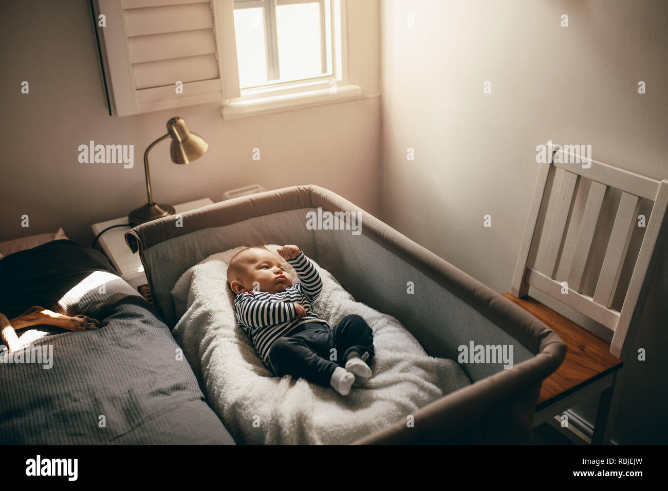 Baby sleeping in a bedside bassinet in bedroom. Infant lying on a crib moving his hands and legs. Stock Photo