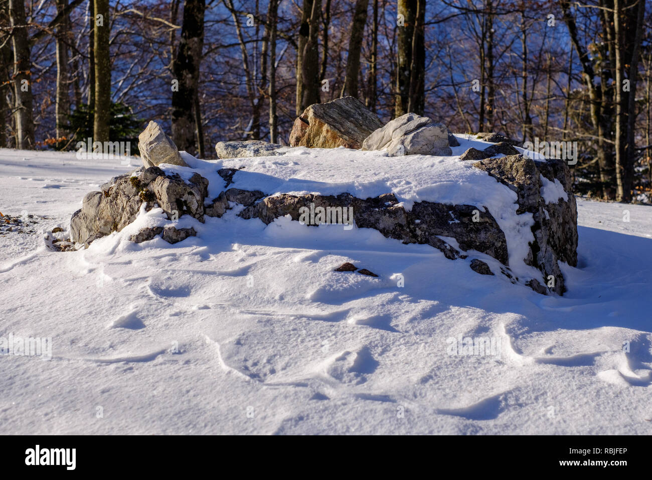 Rock in the snow, Switzerland/Europe Stock Photo