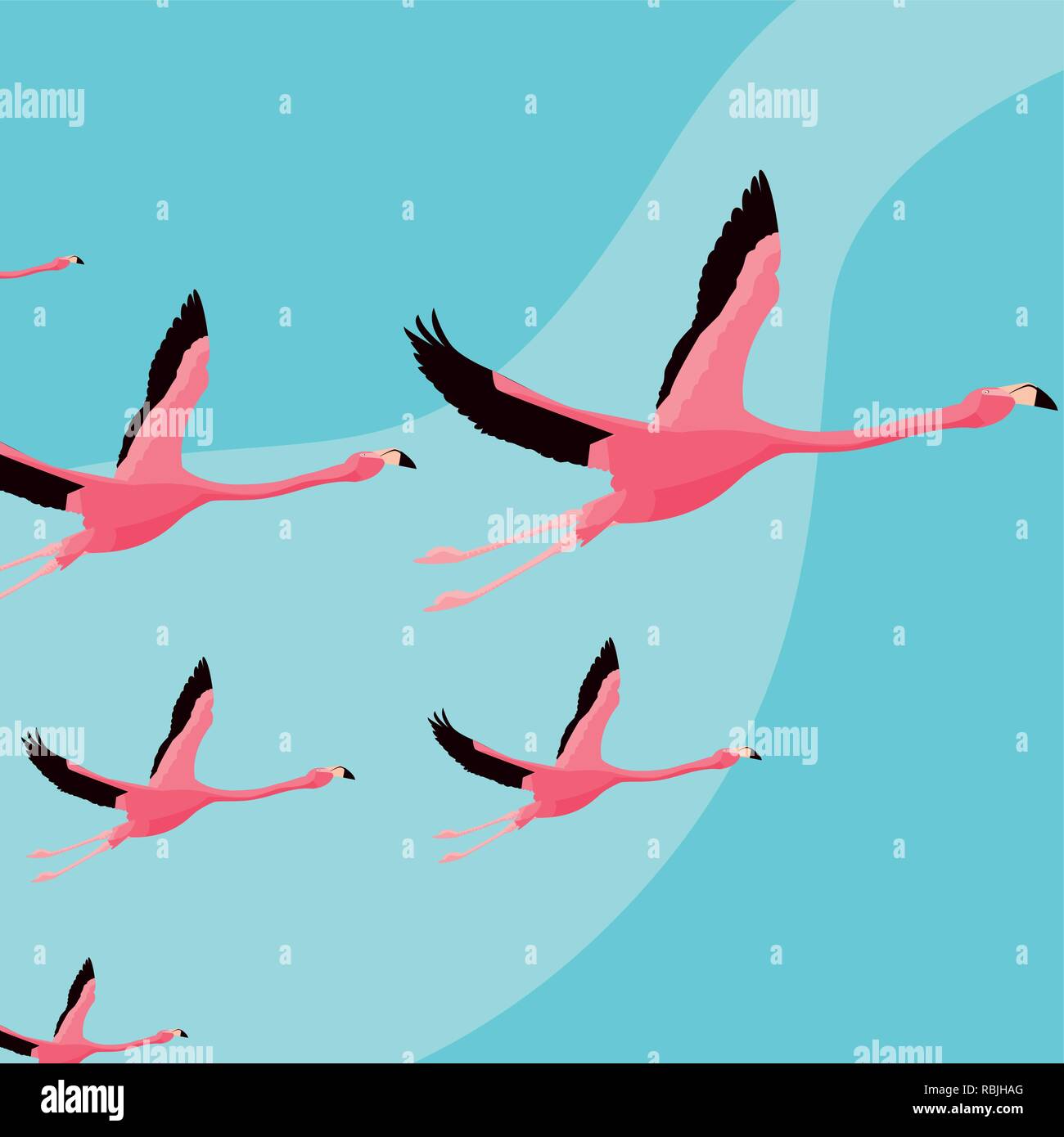 beautiful flamingos birds flock flying vector illustration design Stock  Vector Image & Art - Alamy